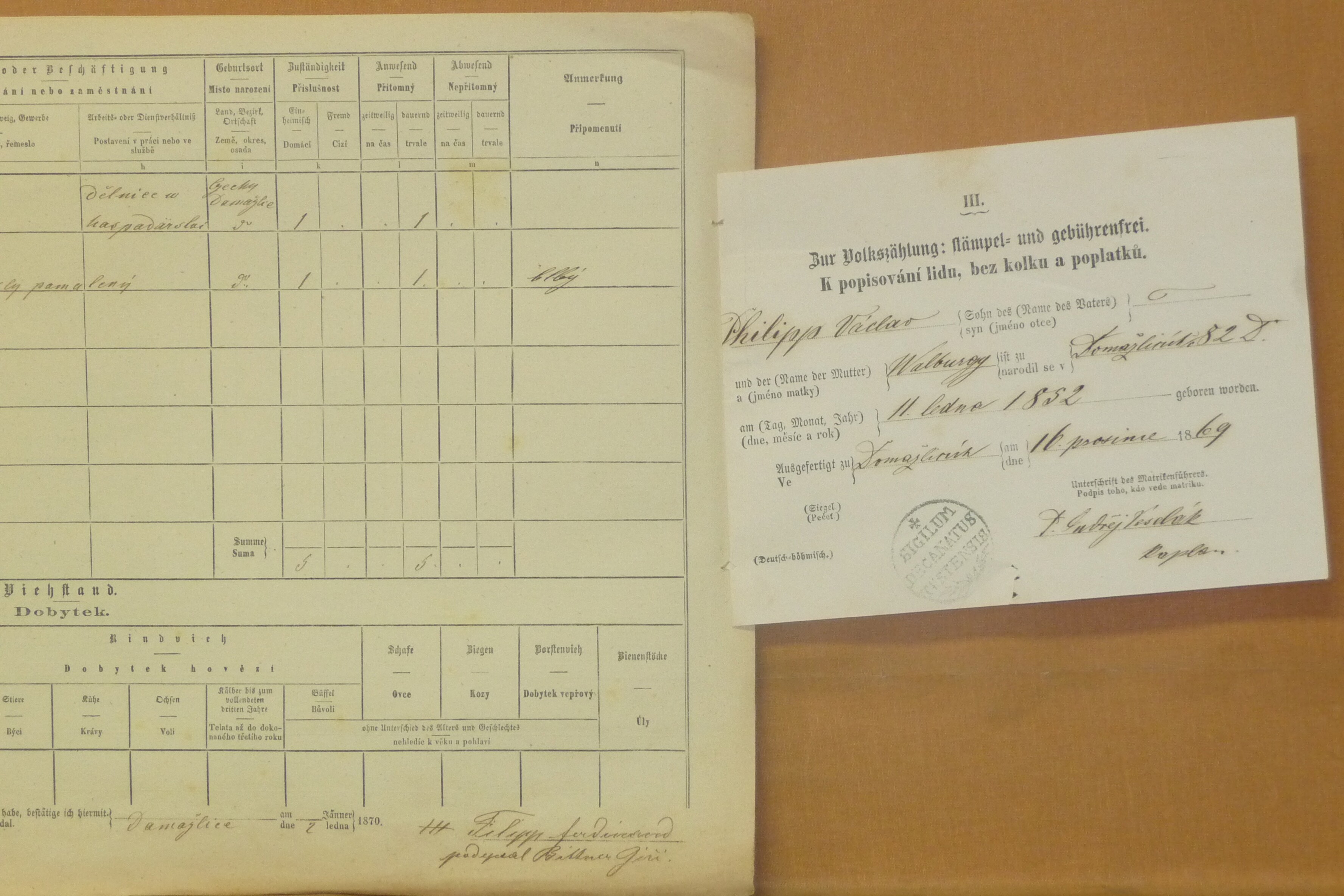 11. soap-do_00592_census-1869-domazlice-bezdekovske-predmesti-cp006_0110