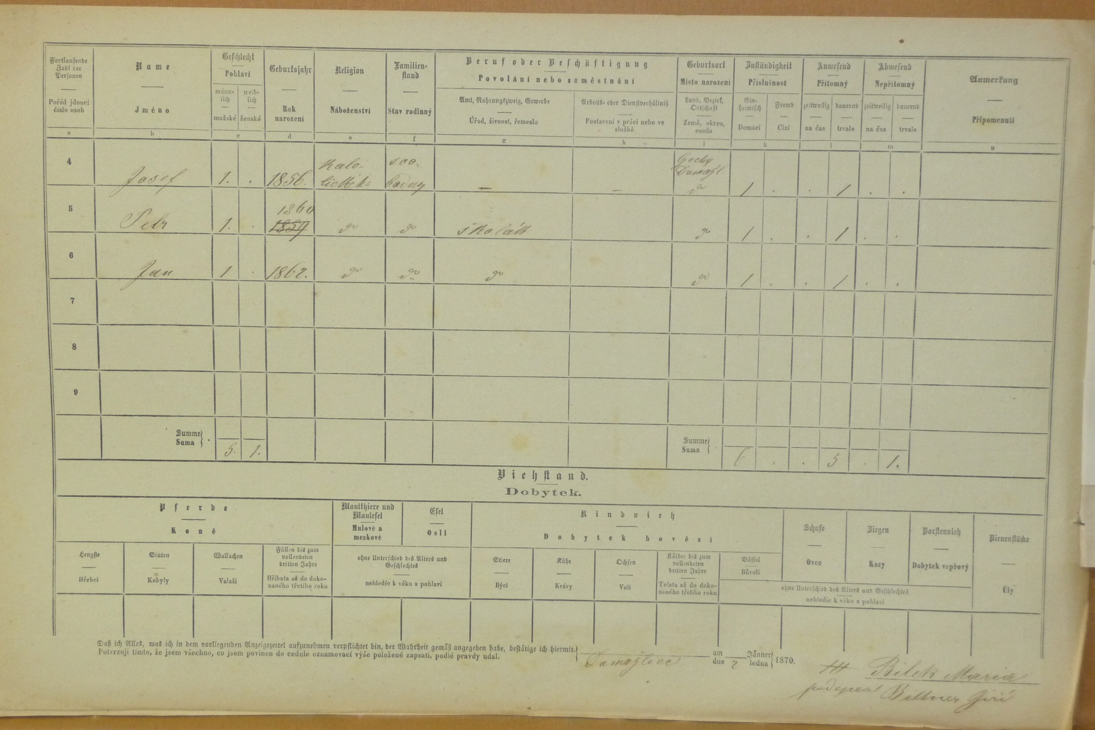 11. soap-do_00592_census-1869-domazlice-bezdekovske-predmesti-cp117_0110