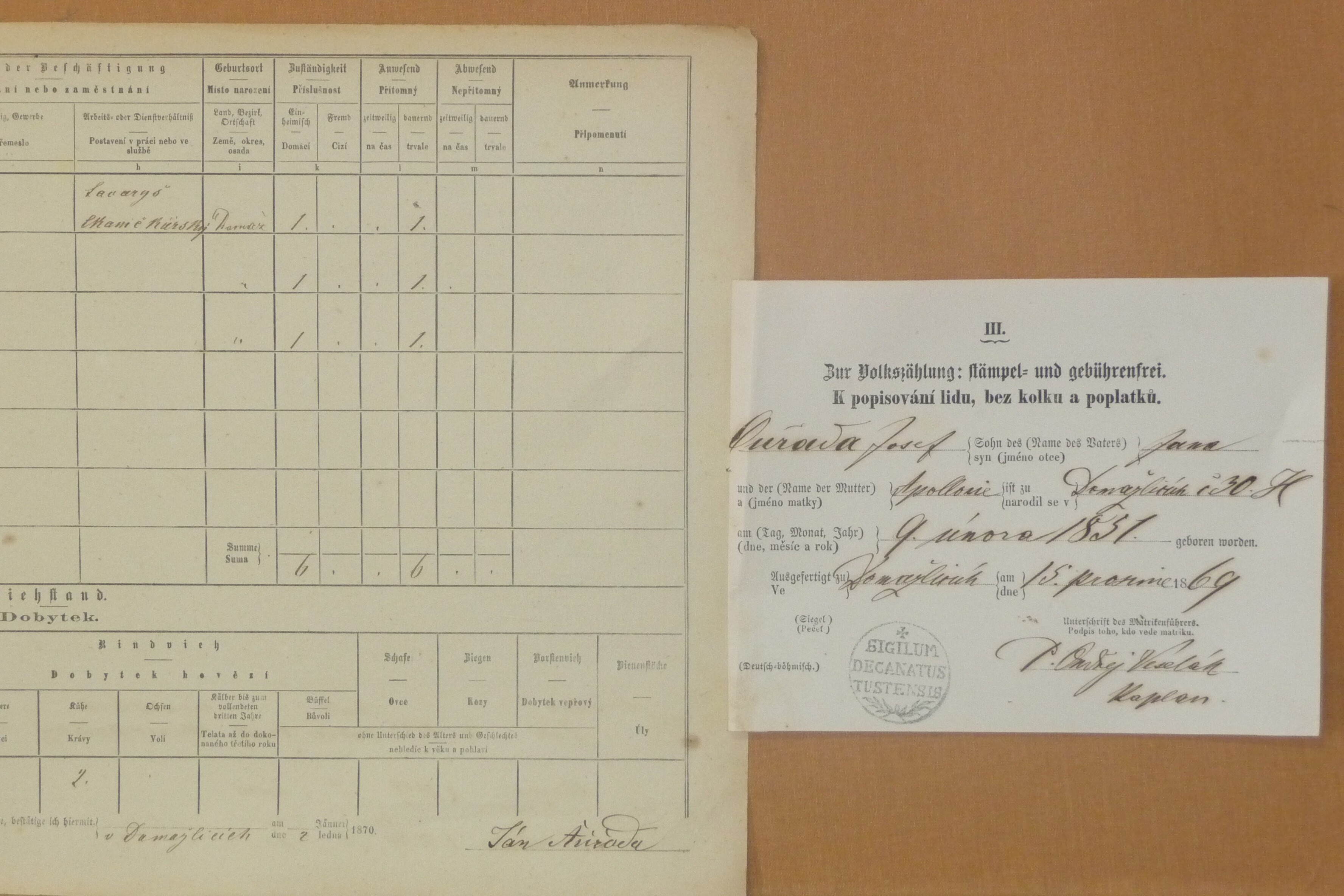 3. soap-do_00592_census-1869-domazlice-risske-predmesti-cp030_0030