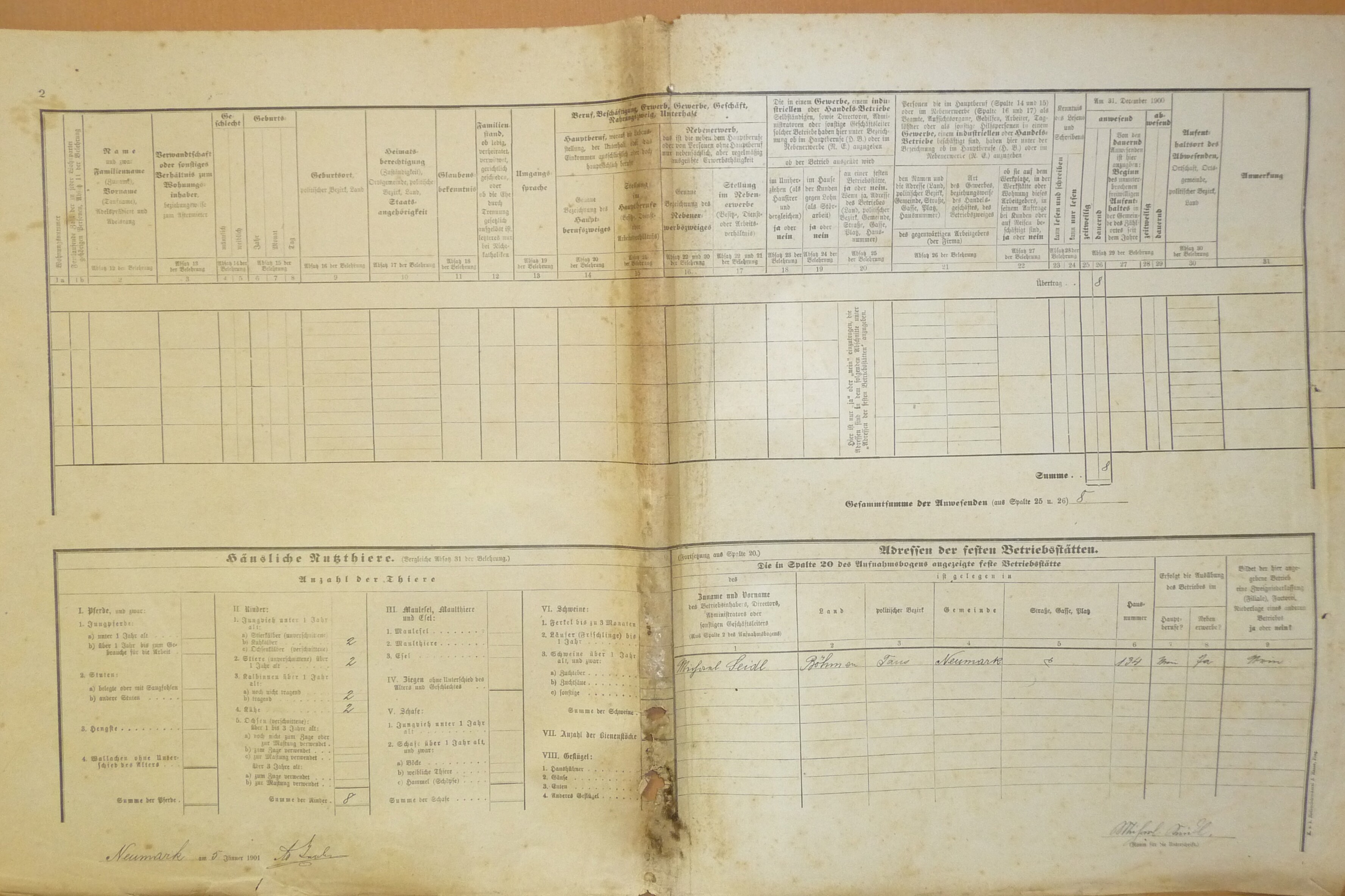 3. soap-do_00592_census-1900-vseruby-cp134_0030