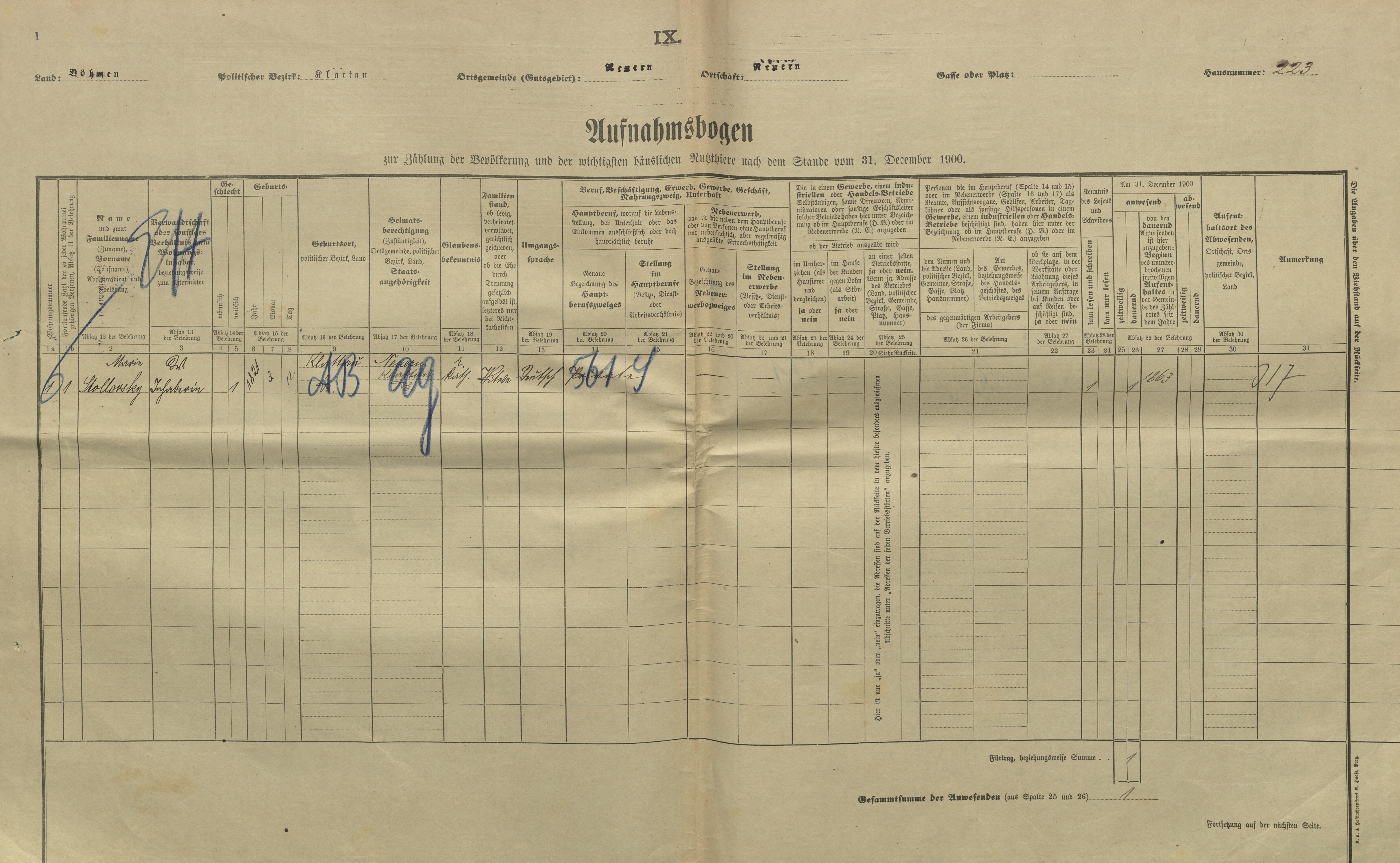 1. soap-kt_01159_census-1900-nyrsko-cp223_0010