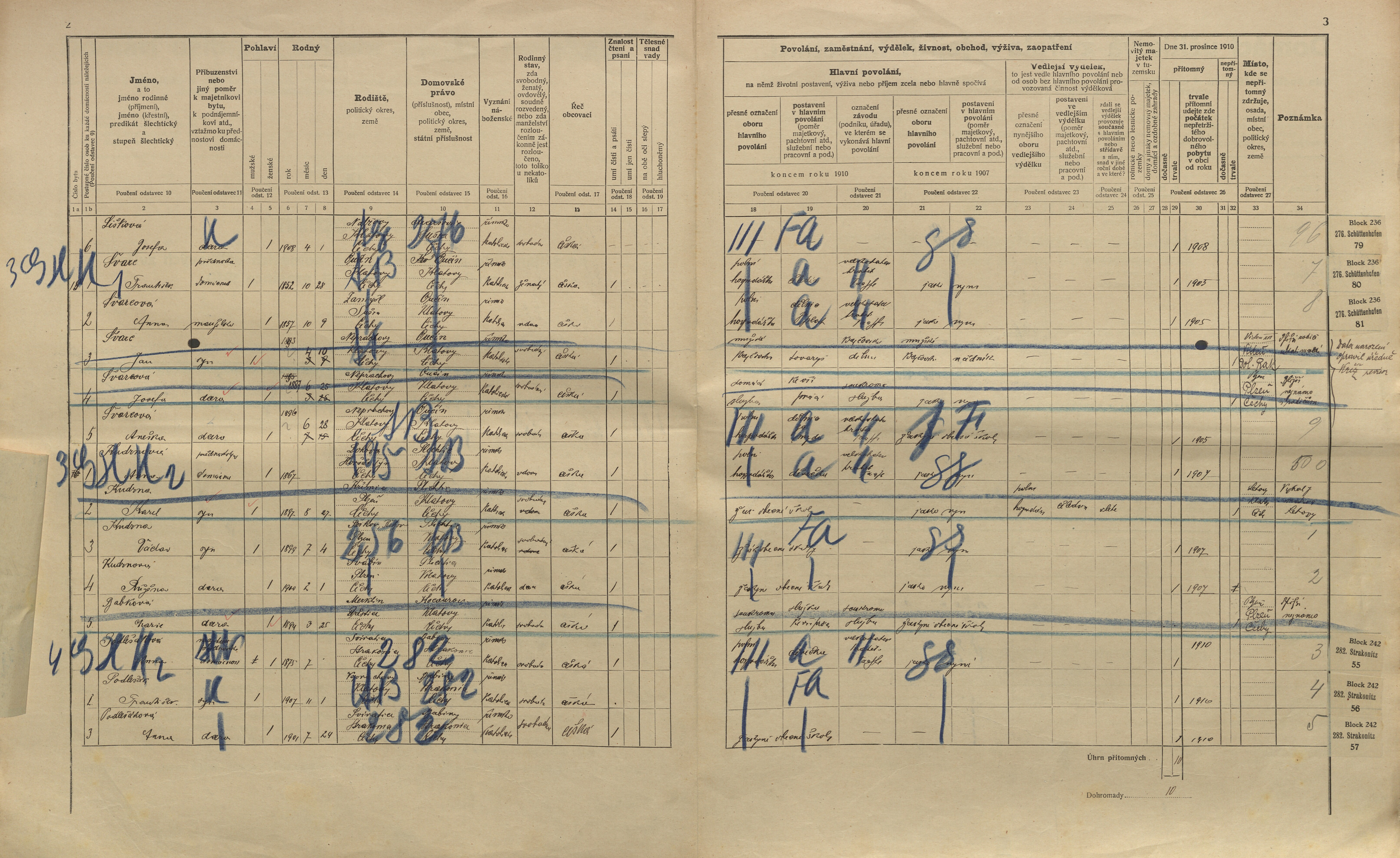 30. soap-kt_01159_census-1910-nalzovy-cp001_0300