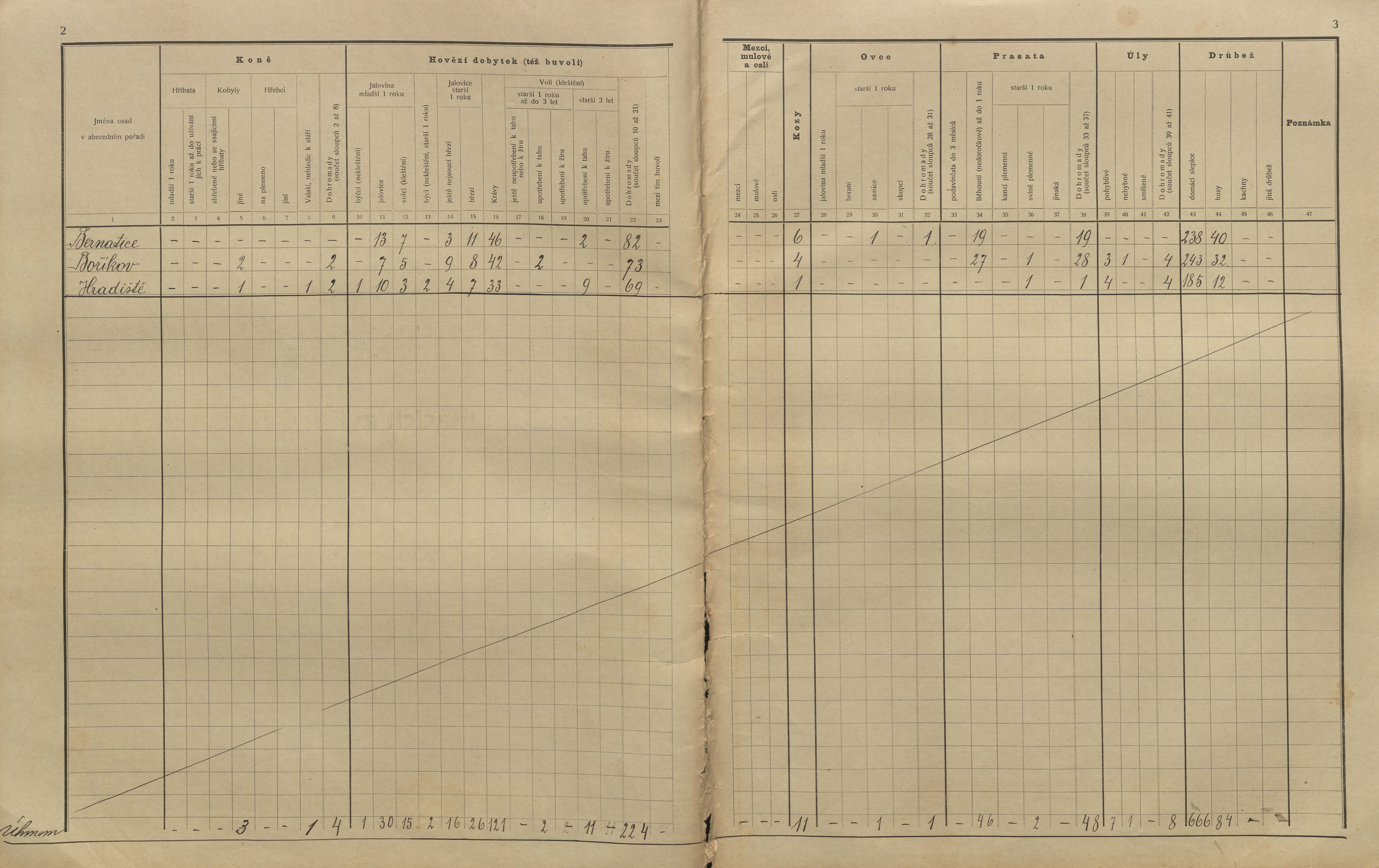 13. soap-kt_01159_census-sum-1910-borikovy_0130