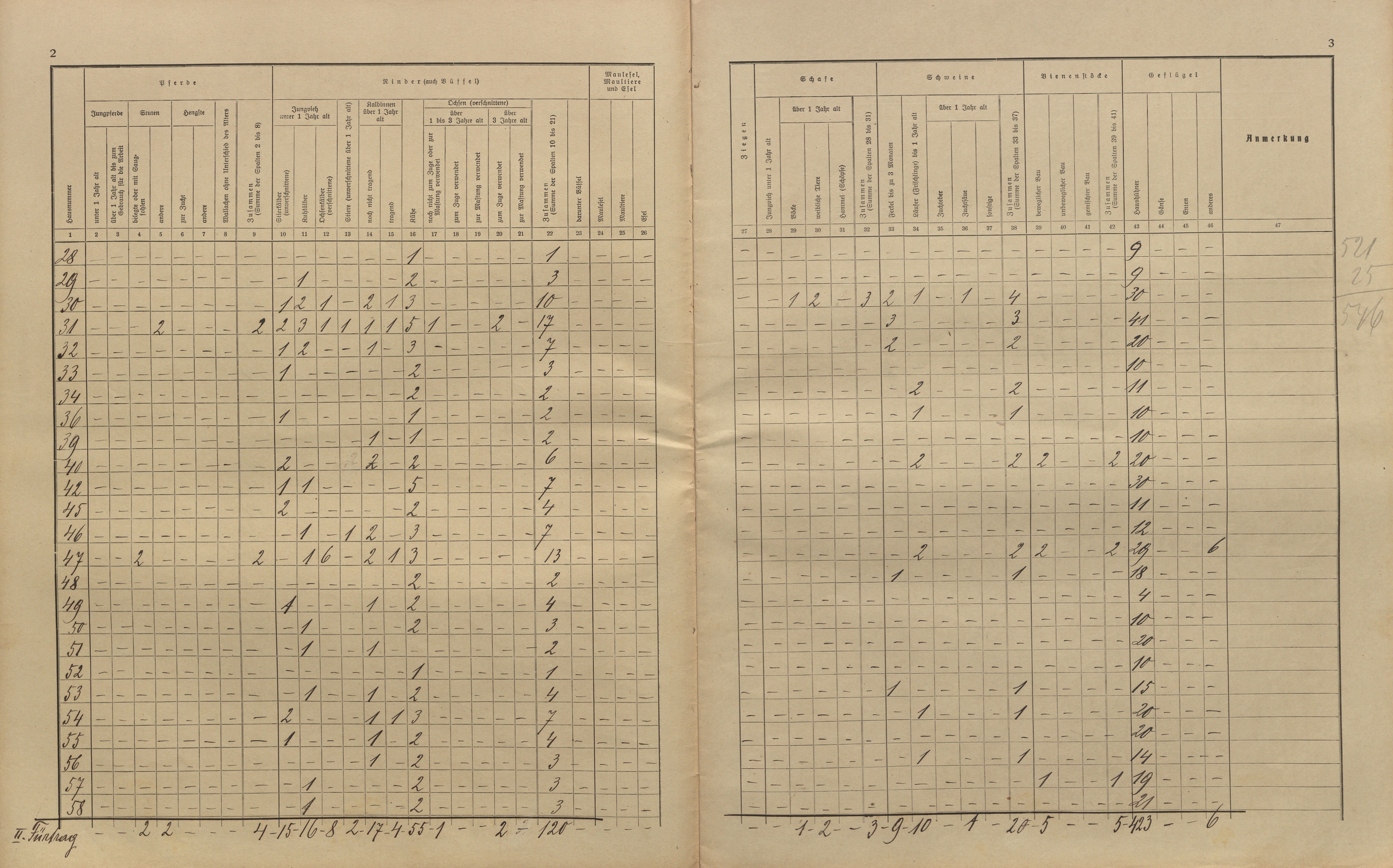 38. soap-kt_01159_census-sum-1910-cervene-drevo-fleky_0380