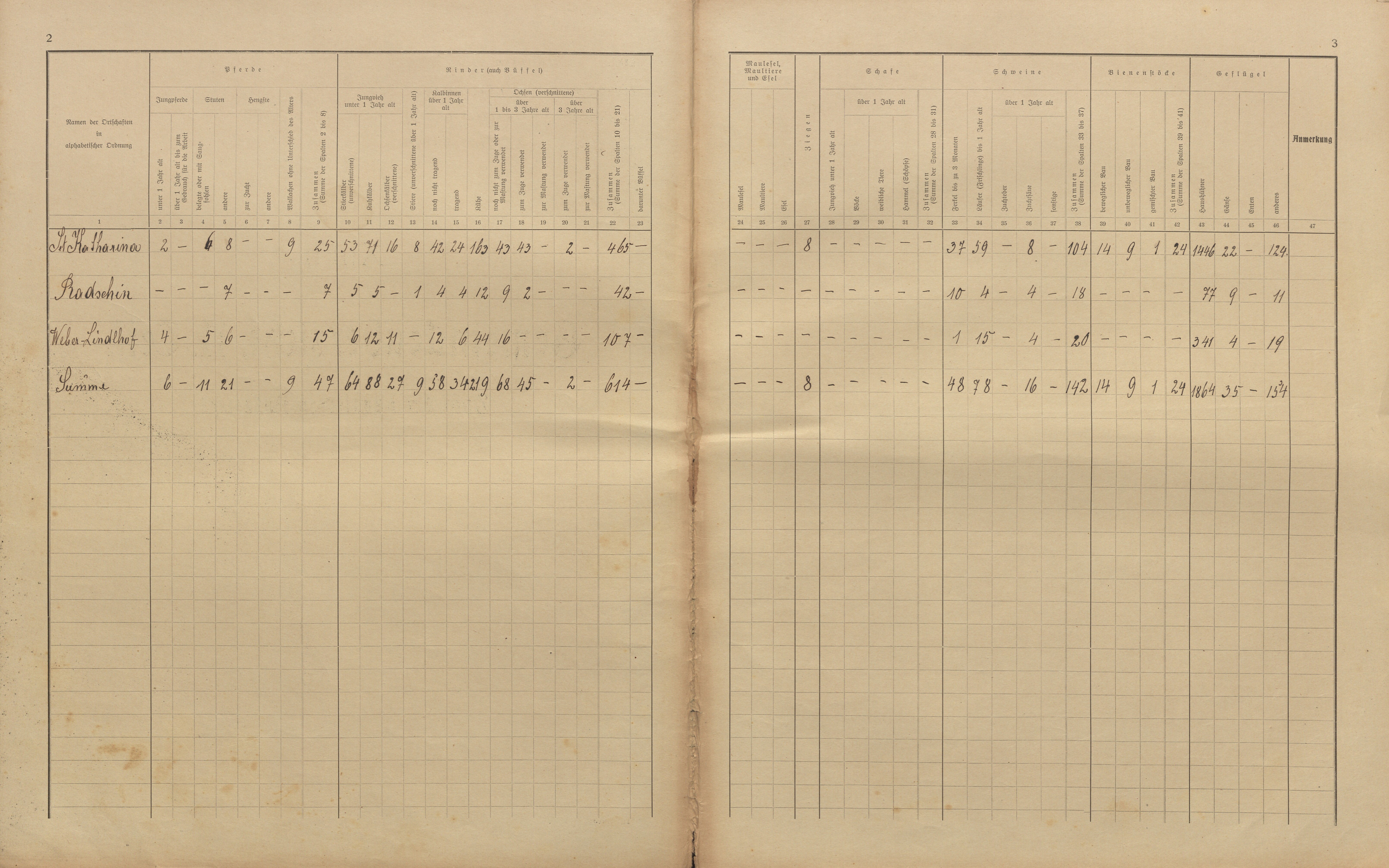 21. soap-kt_01159_census-sum-1910-svata-katerina-radosin_0210