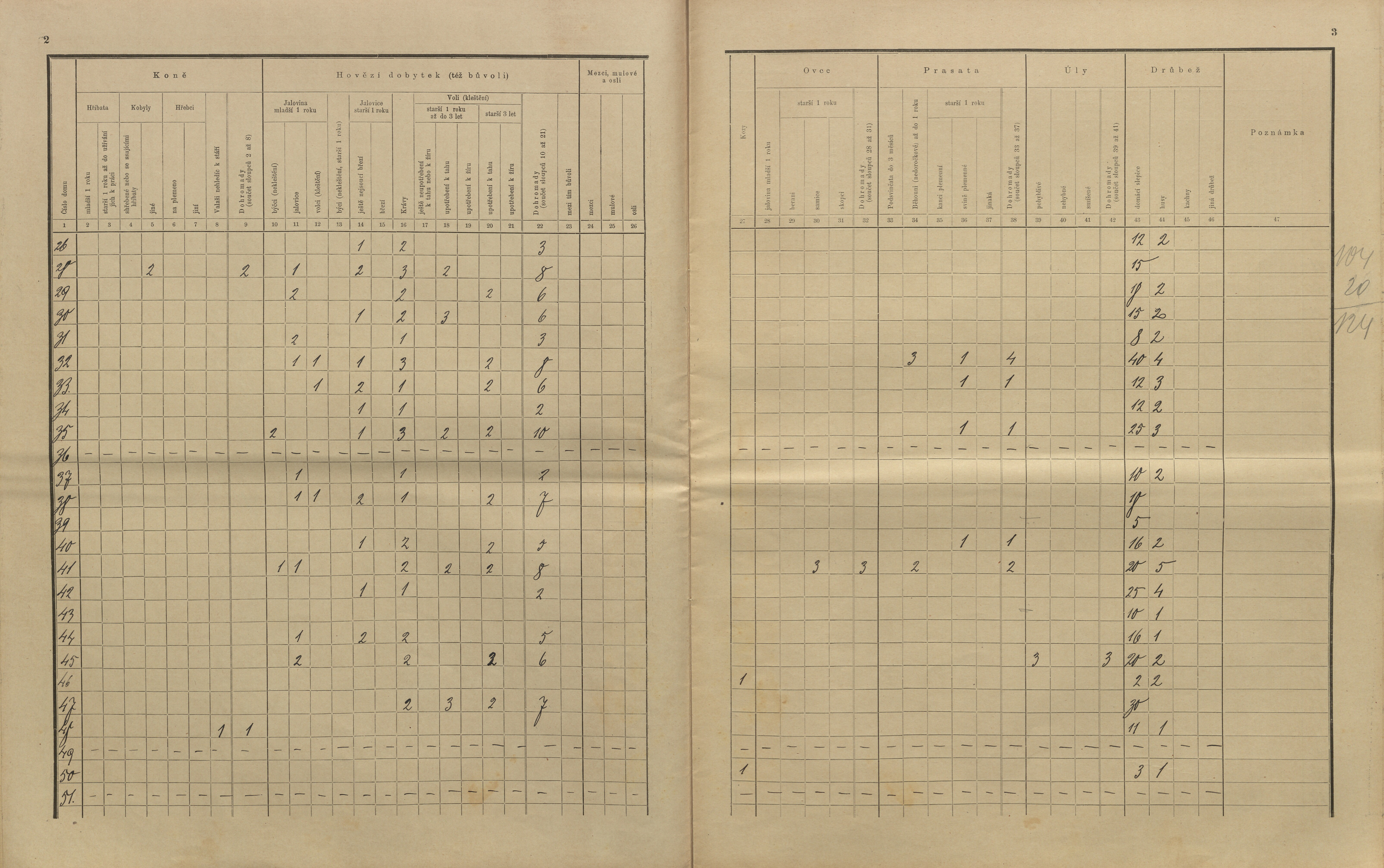 23. soap-kt_01159_census-sum-1910-kolinec-ujcin_0230