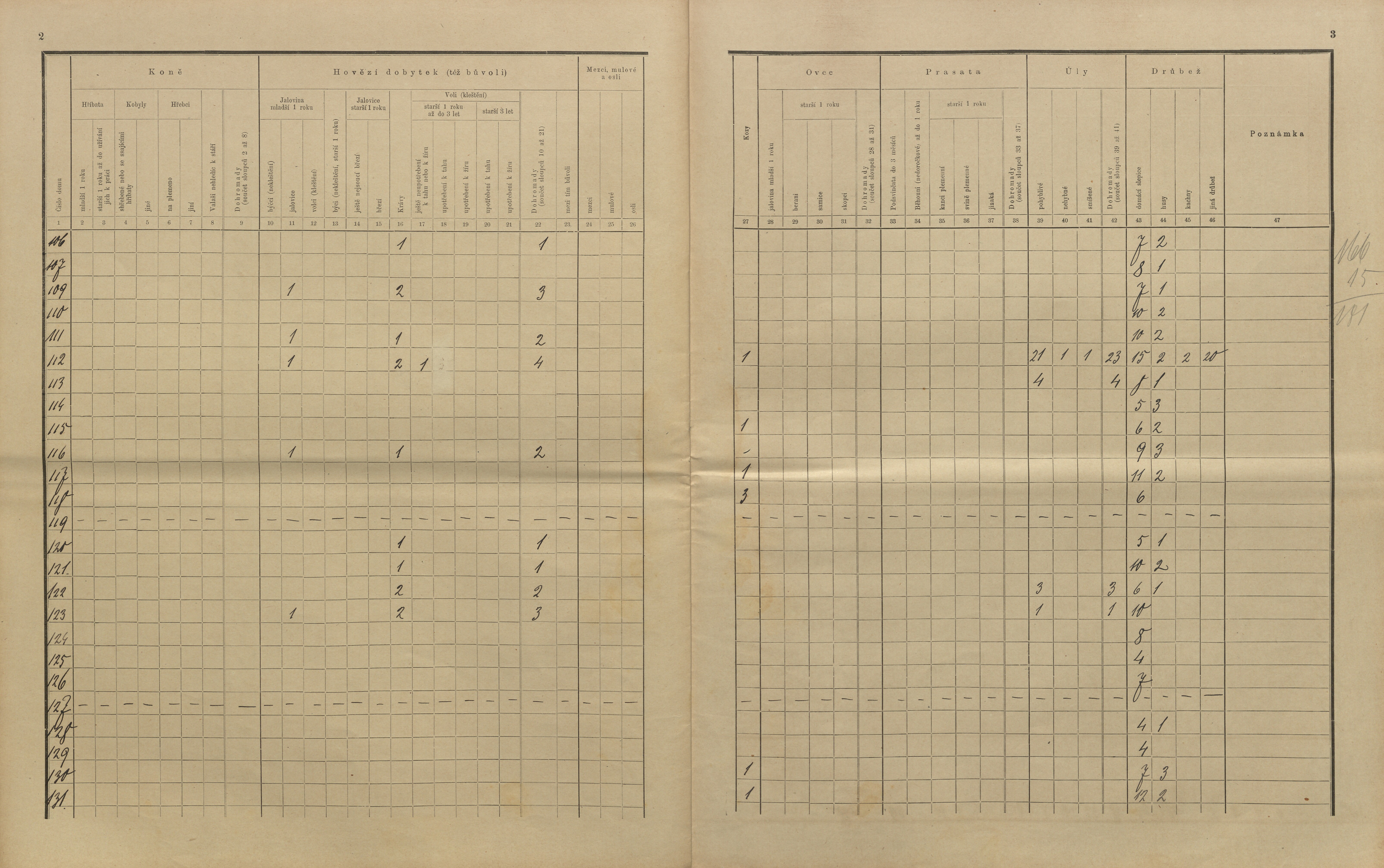 26. soap-kt_01159_census-sum-1910-kolinec-ujcin_0260