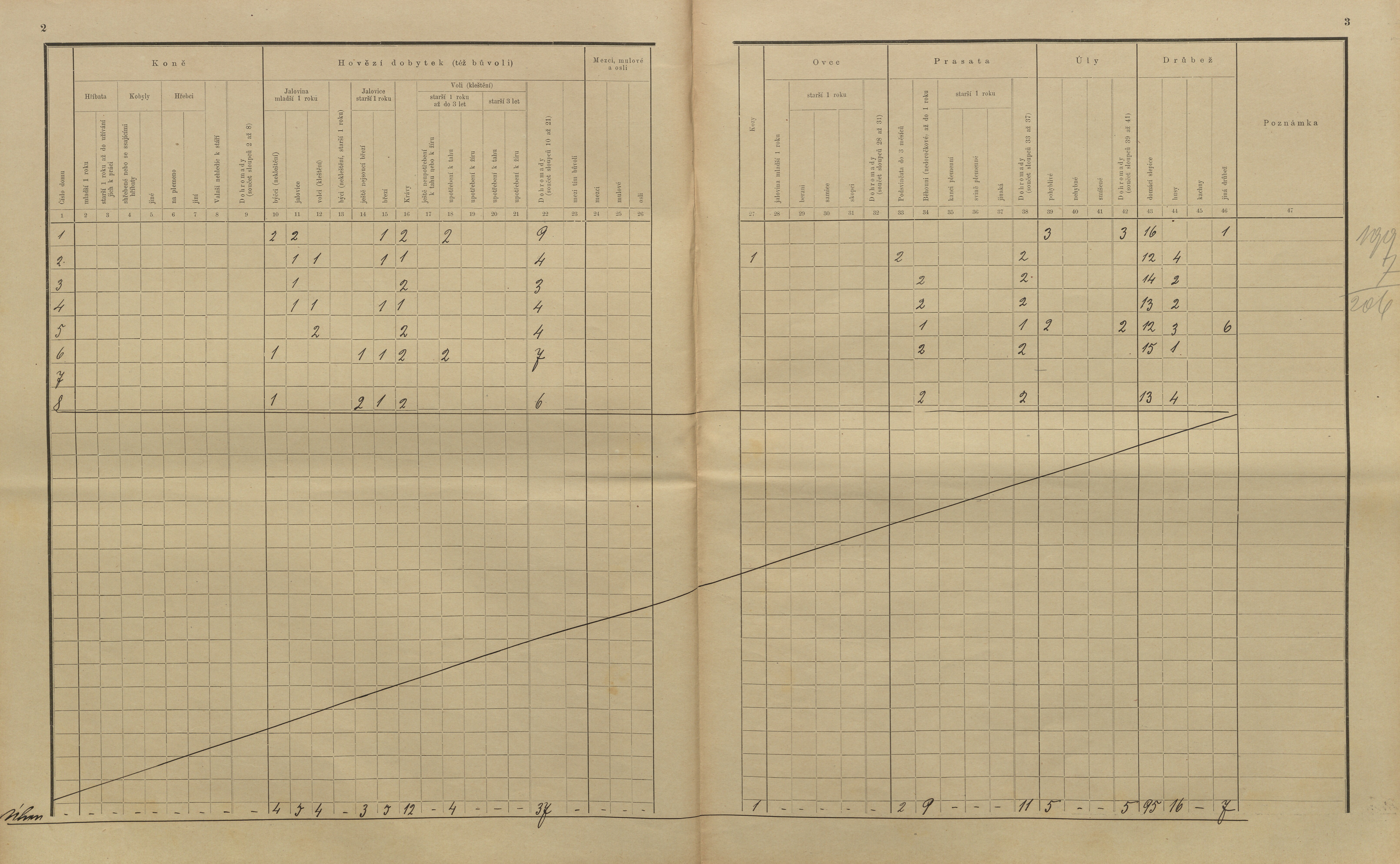 29. soap-kt_01159_census-sum-1910-kolinec-ujcin_0290