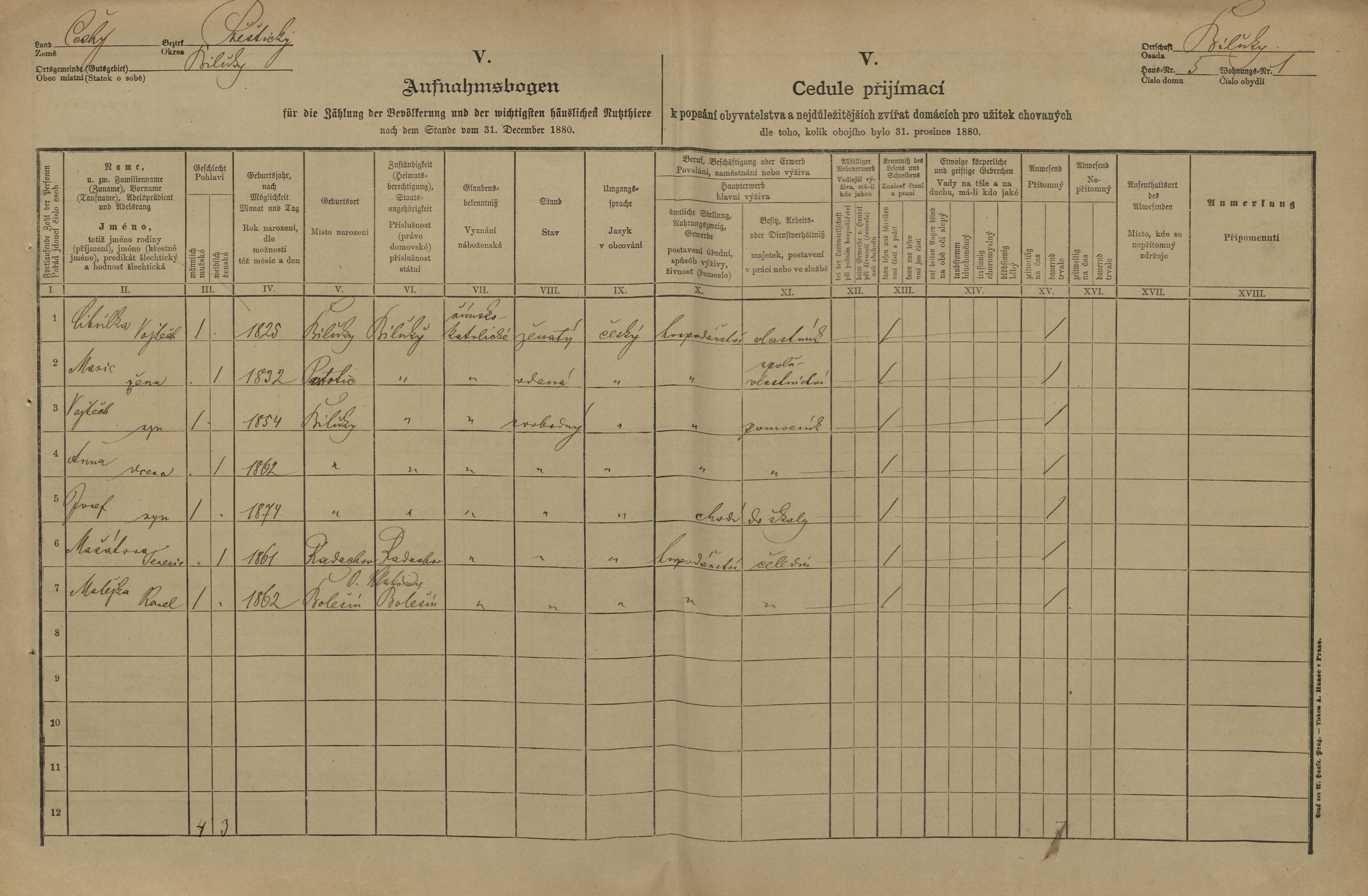 1. soap-pj_00302_census-1880-biluky-cp005_0010