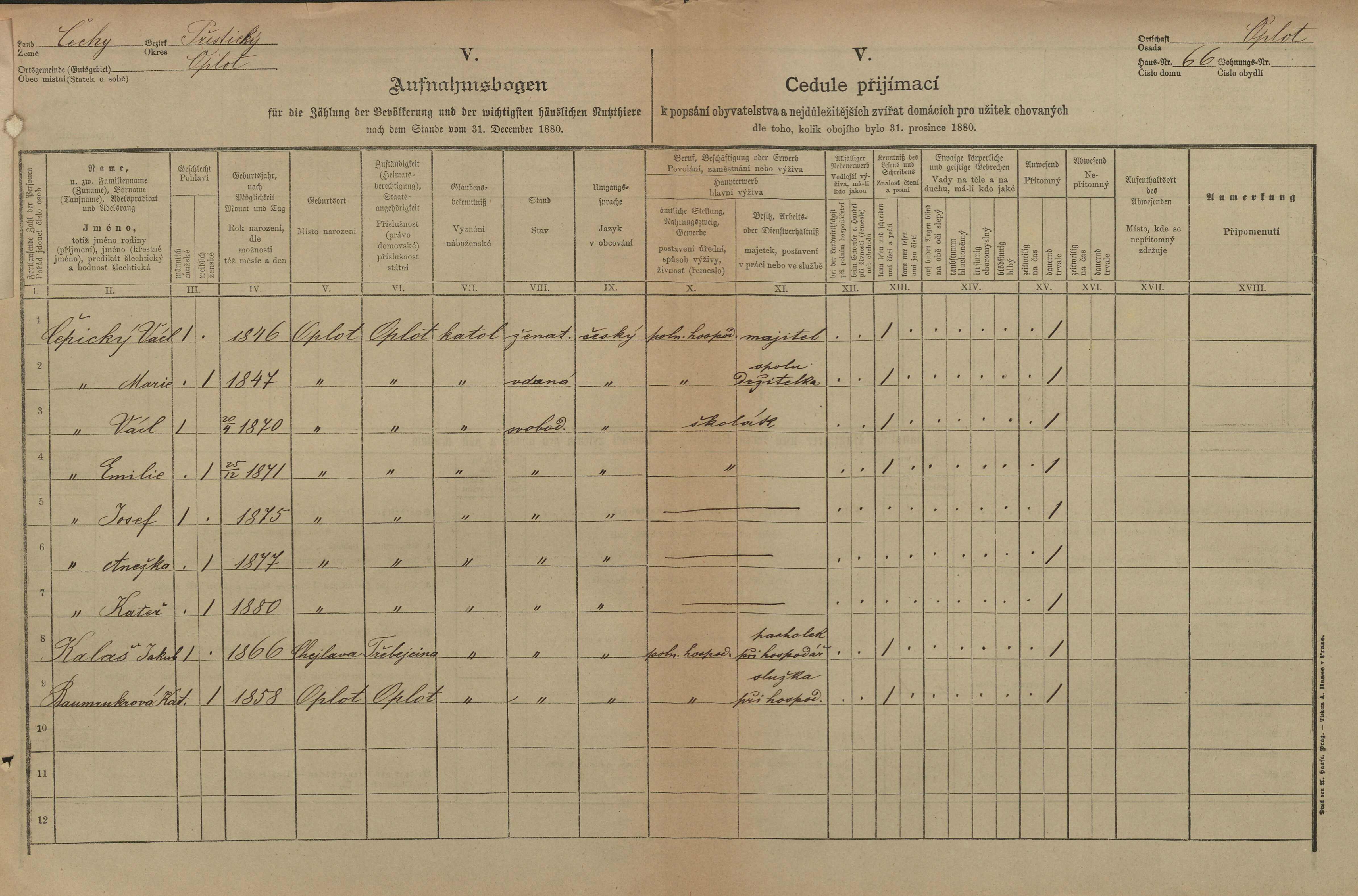 1. soap-pj_00302_census-1880-oplot-cp066_0010