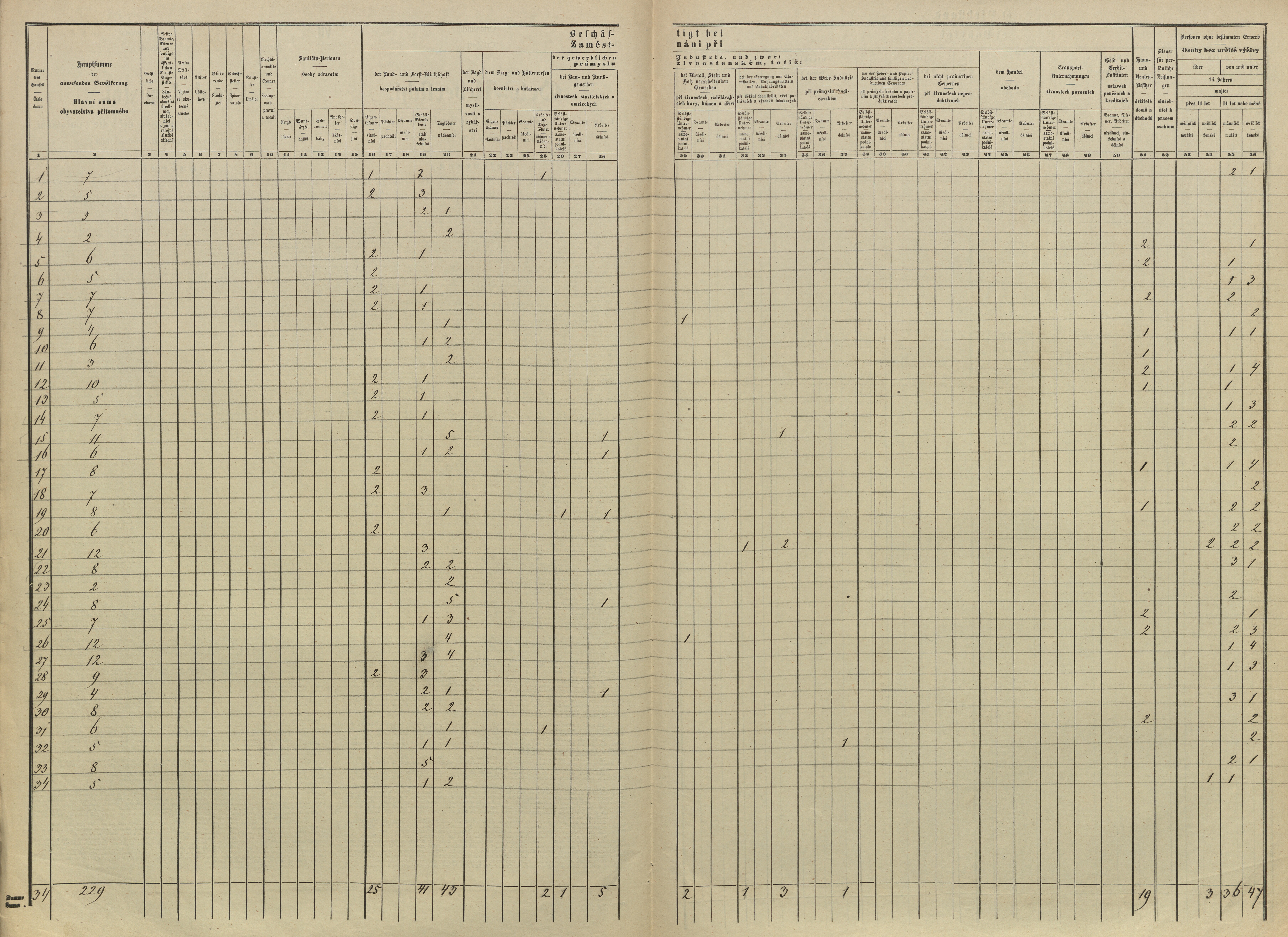 12. soap-pj_00302_census-sum-1869-pretin_0120