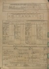 5. soap-ps_00423_census-sum-1880-vyrov-i0728_00050