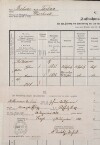 2. soap-tc_00192_census-1880-bojecnice-cp019_0020