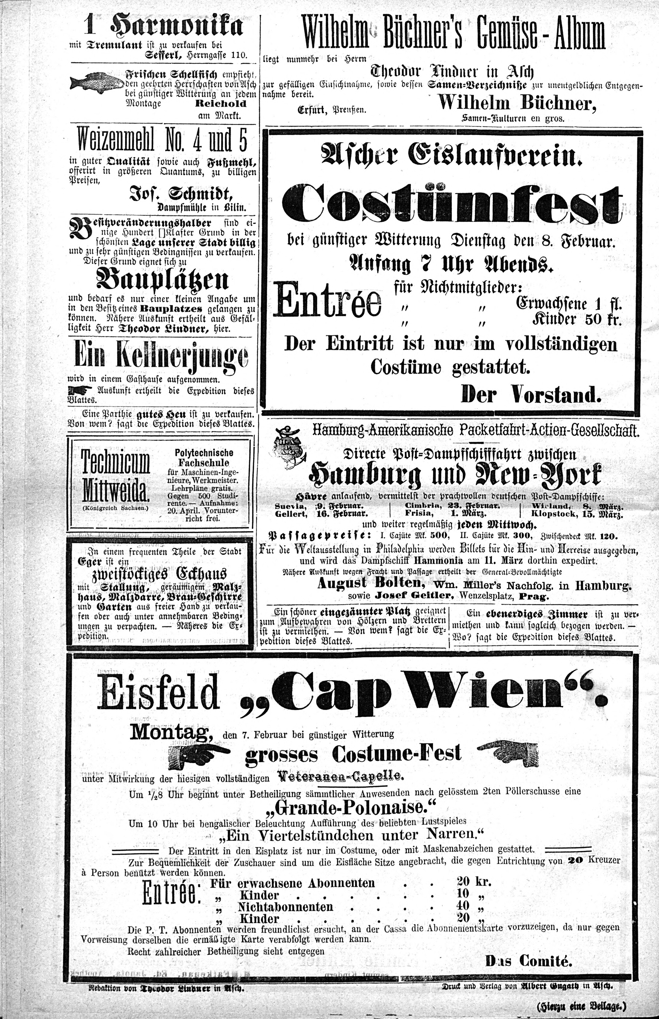 4. soap-ch_knihovna_ascher-zeitung-1876-02-05-n6_0210