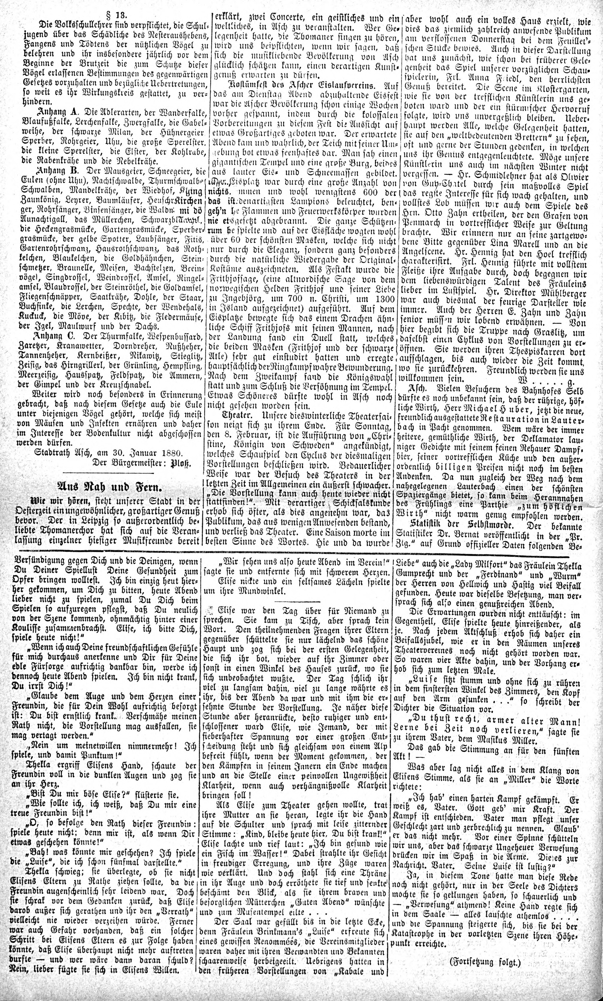 2. soap-ch_knihovna_ascher-zeitung-1880-02-07-n6_0200