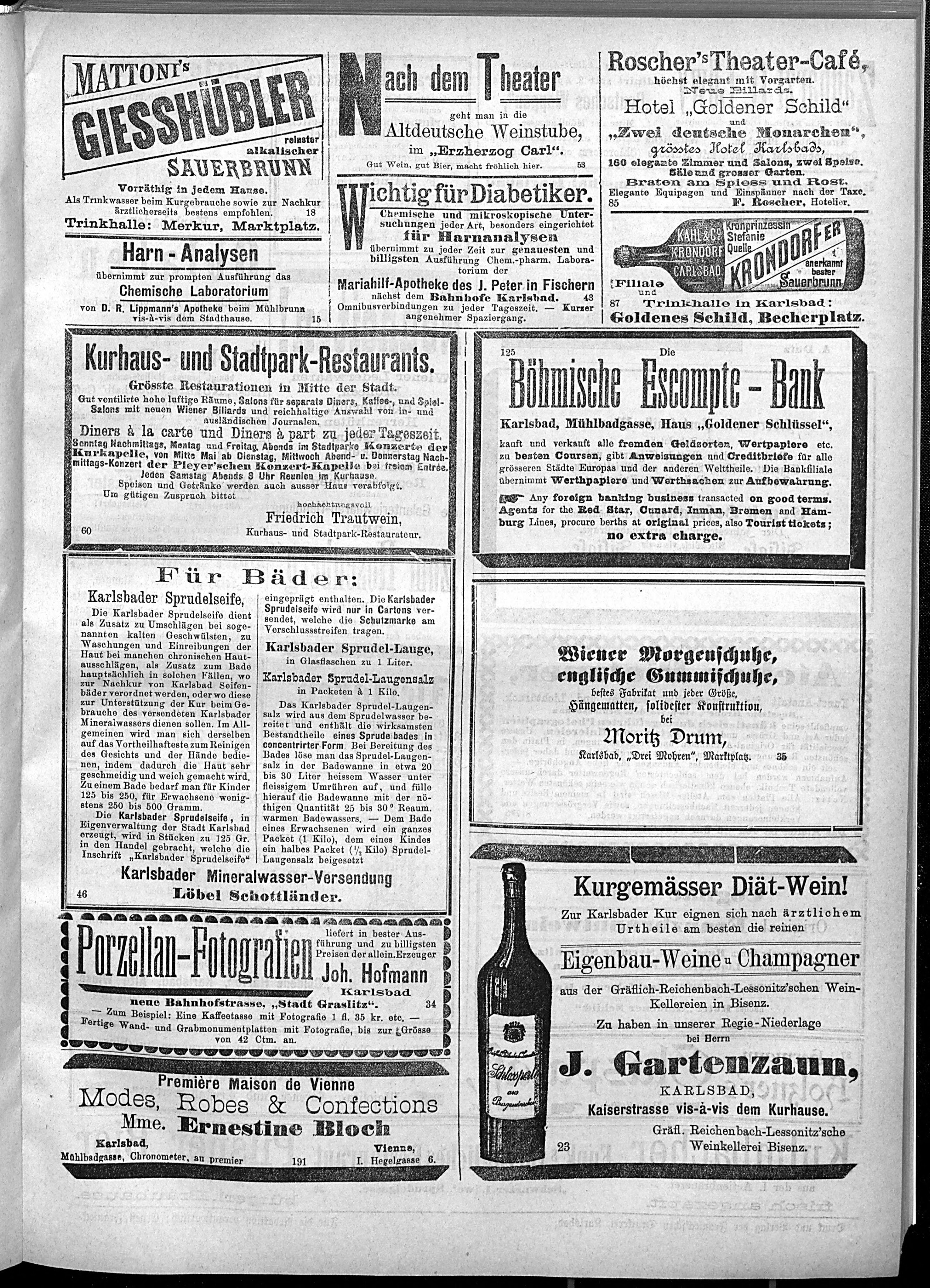 3. karlsbader-badeblatt-1889-06-11-n36_1015