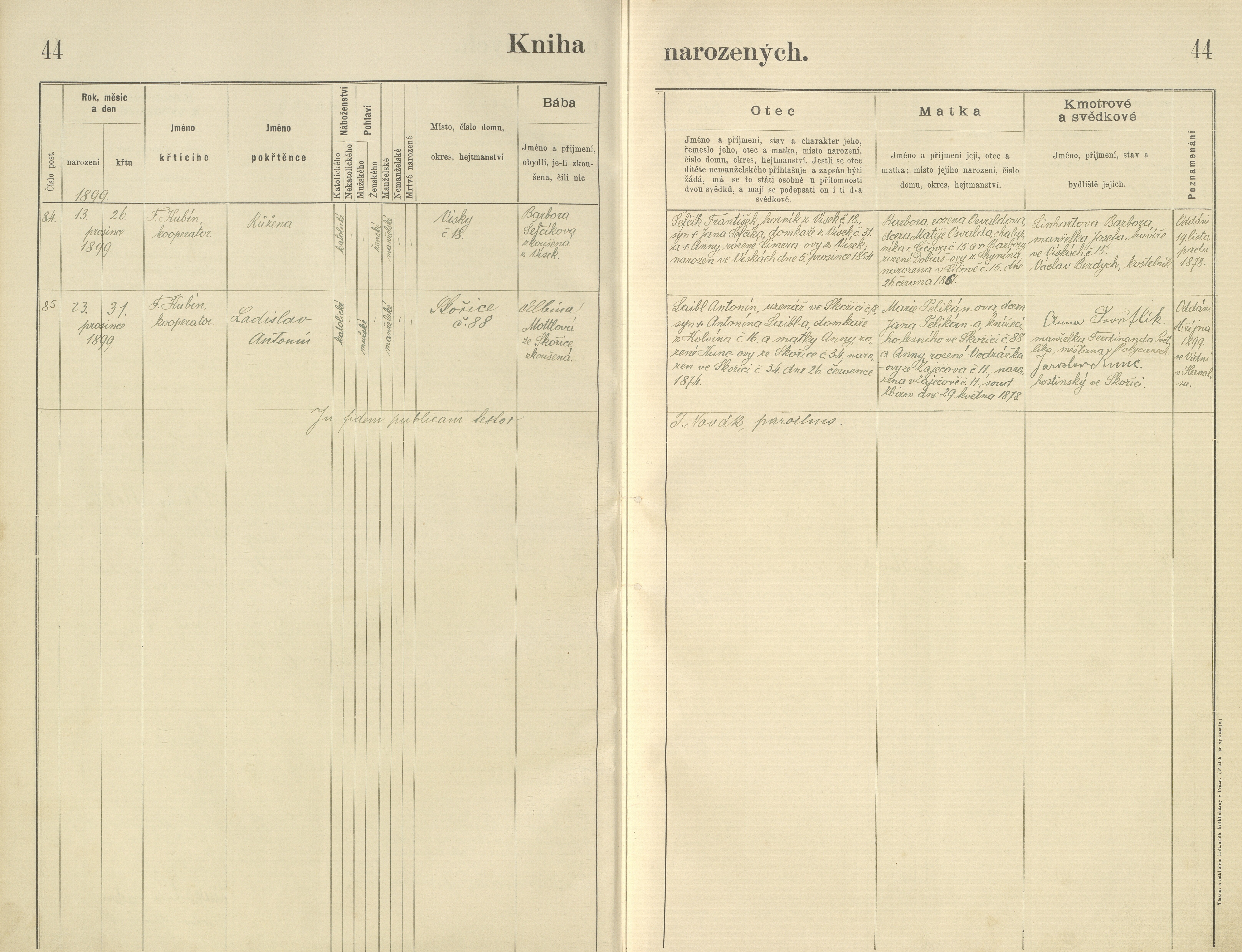 46. skorice-23_0460-n