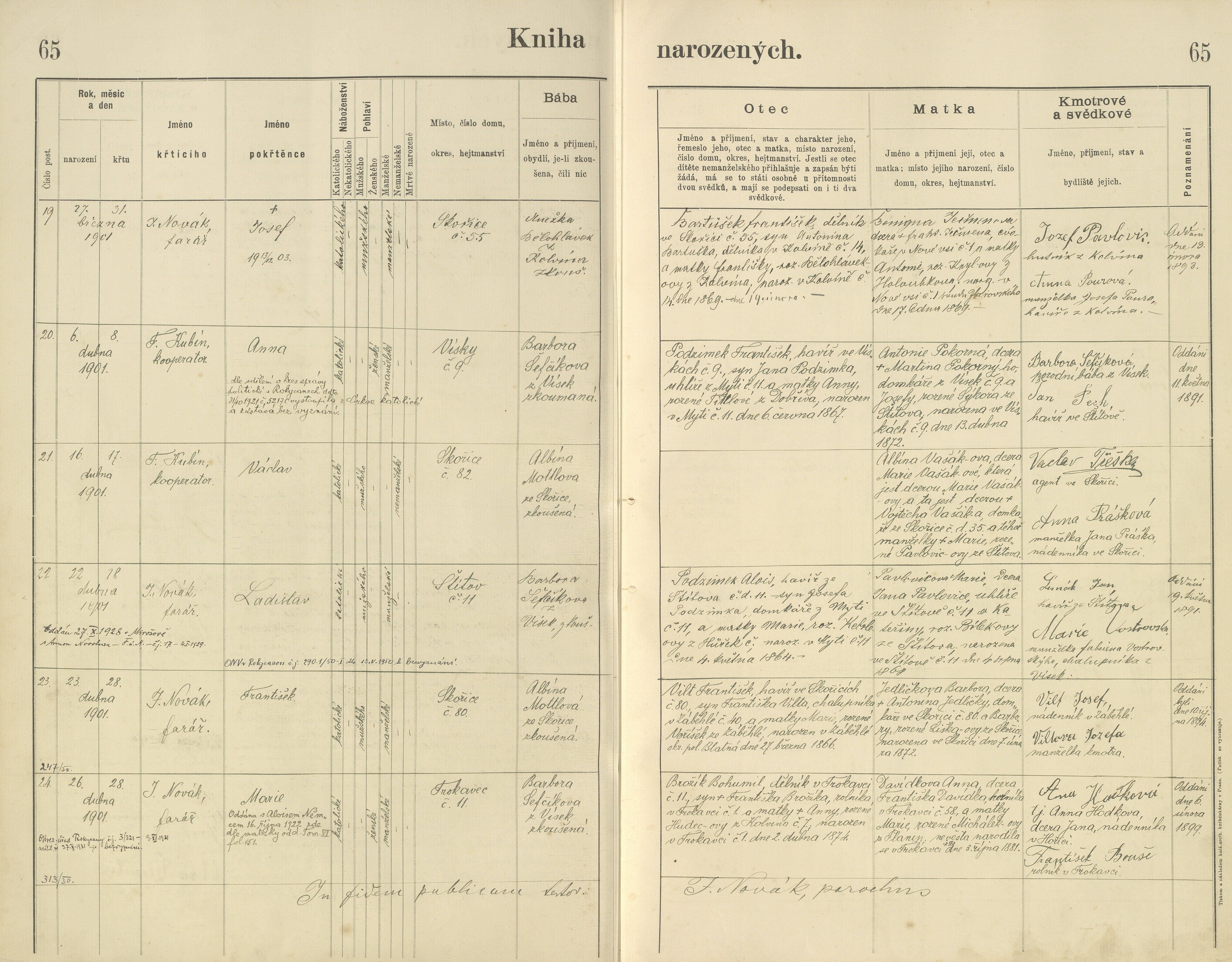 67. skorice-23_0670-n