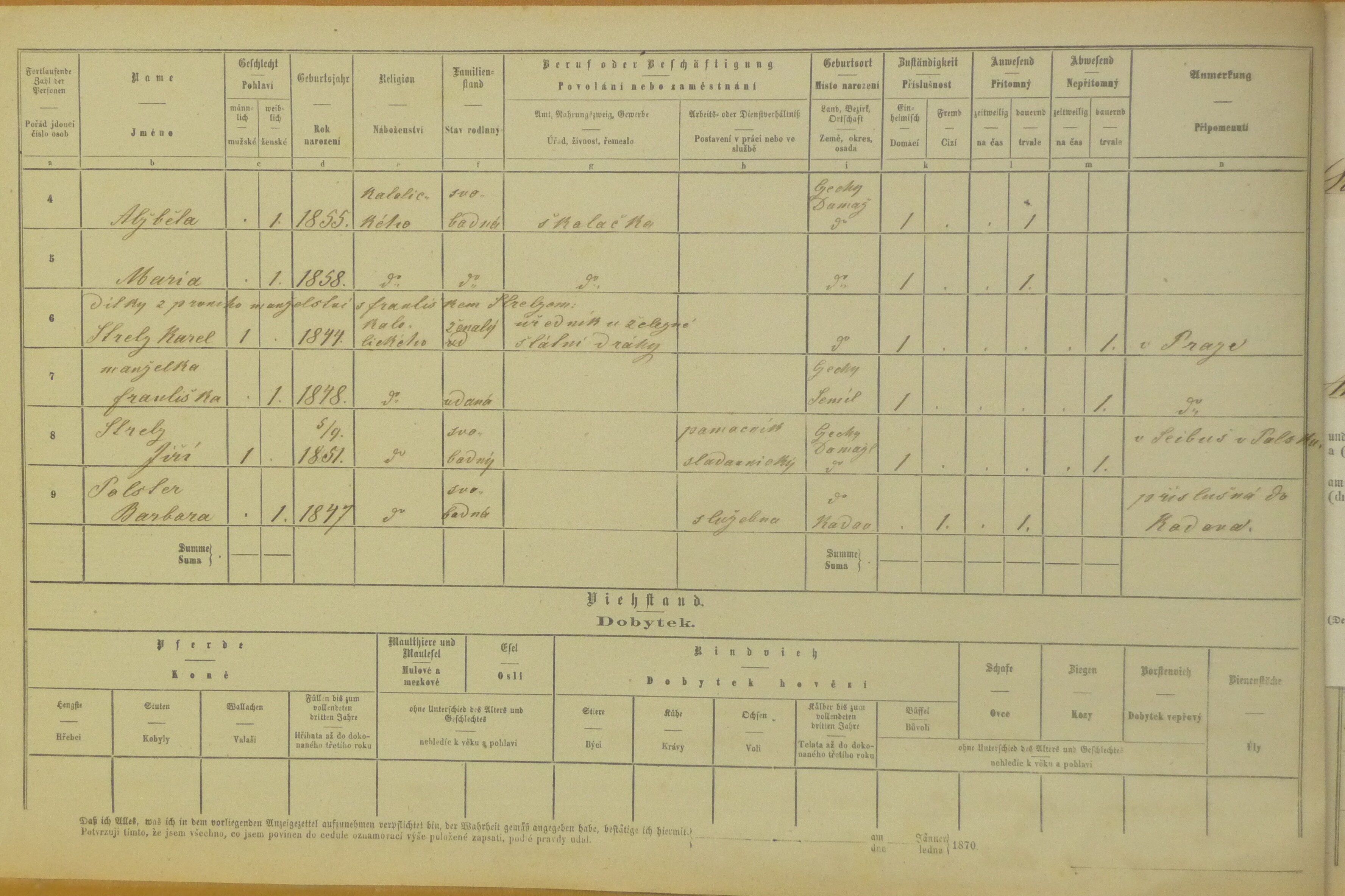 3. soap-do_00592_census-1869-domazlice-risske-predmesti-cp064_0030