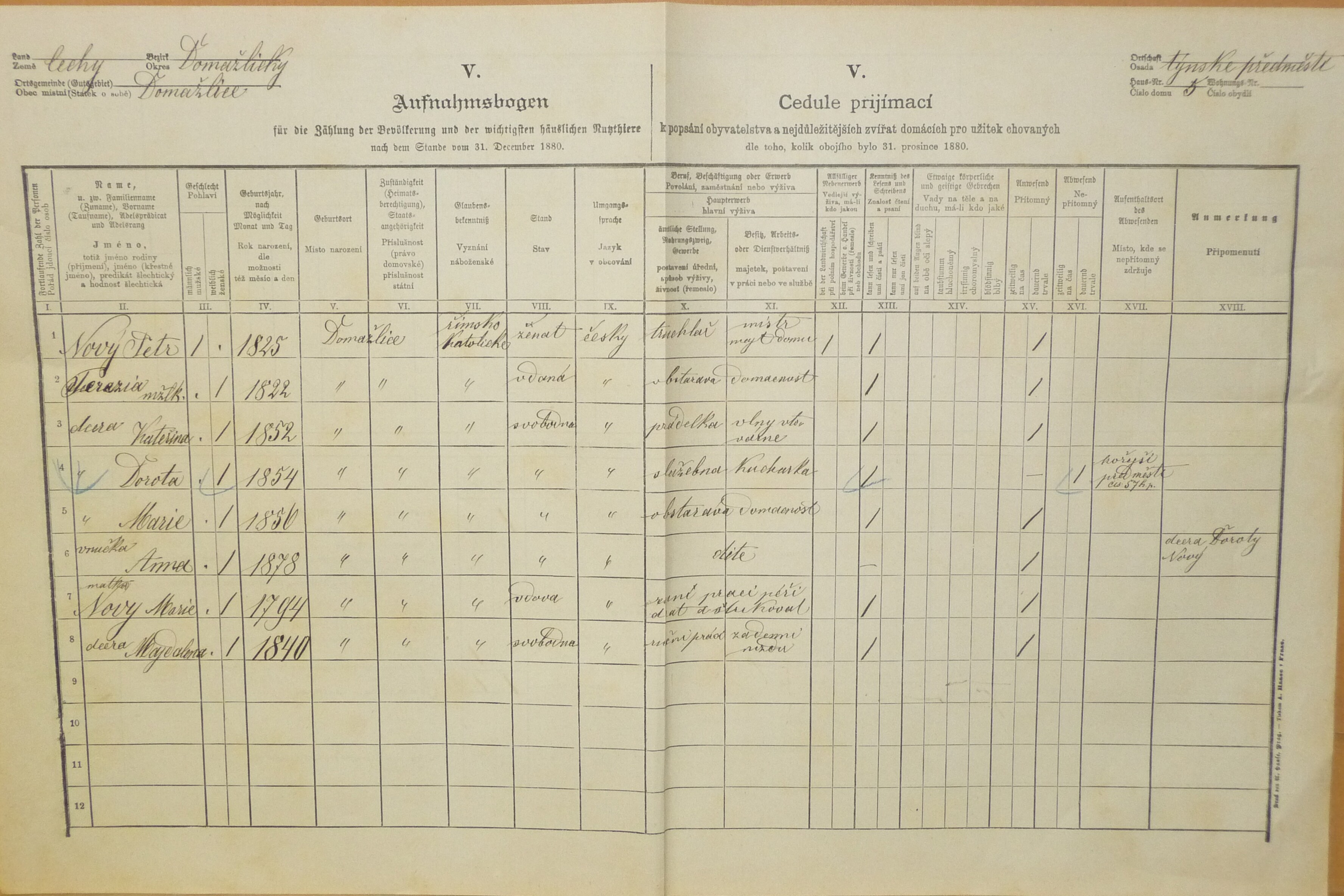 1. soap-do_00592_census-1880-domazlice-tynske-predmesti-cp005_0010