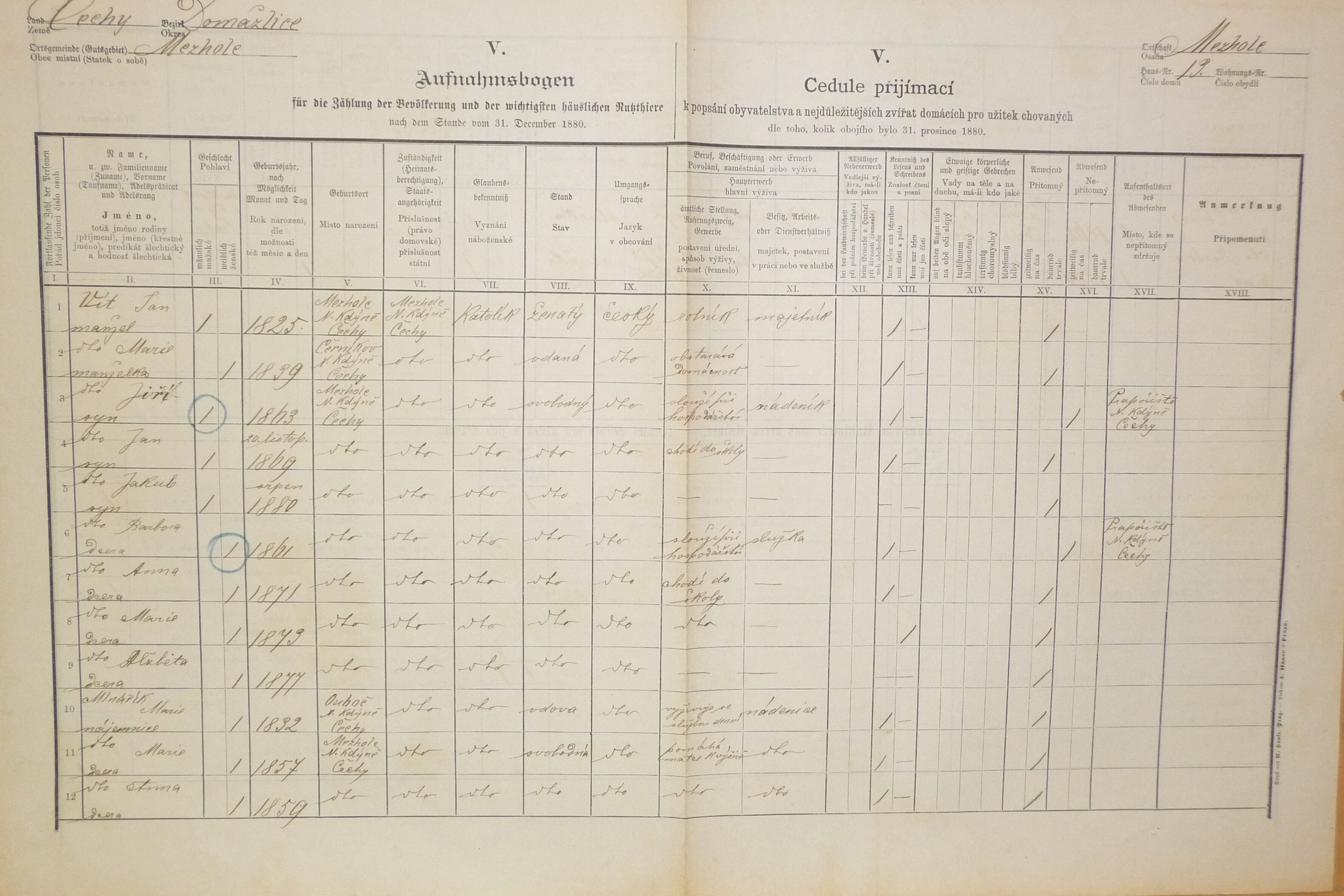 1. soap-do_00592_census-1880-mezholezy-cp013_0010