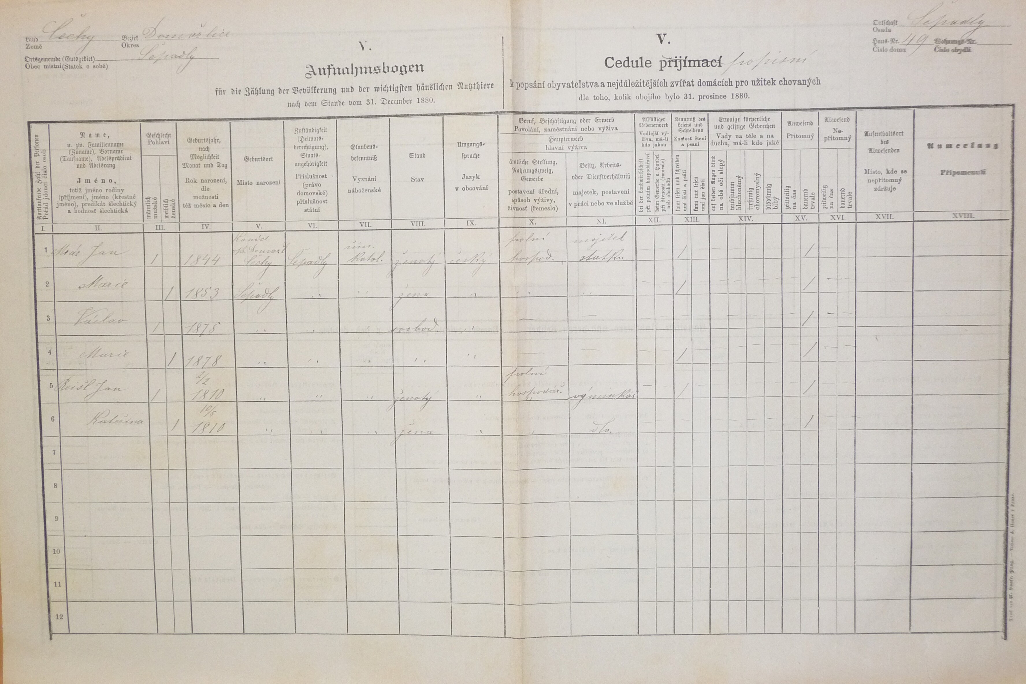 1. soap-do_00592_census-1880-vsepadly-cp049_0010