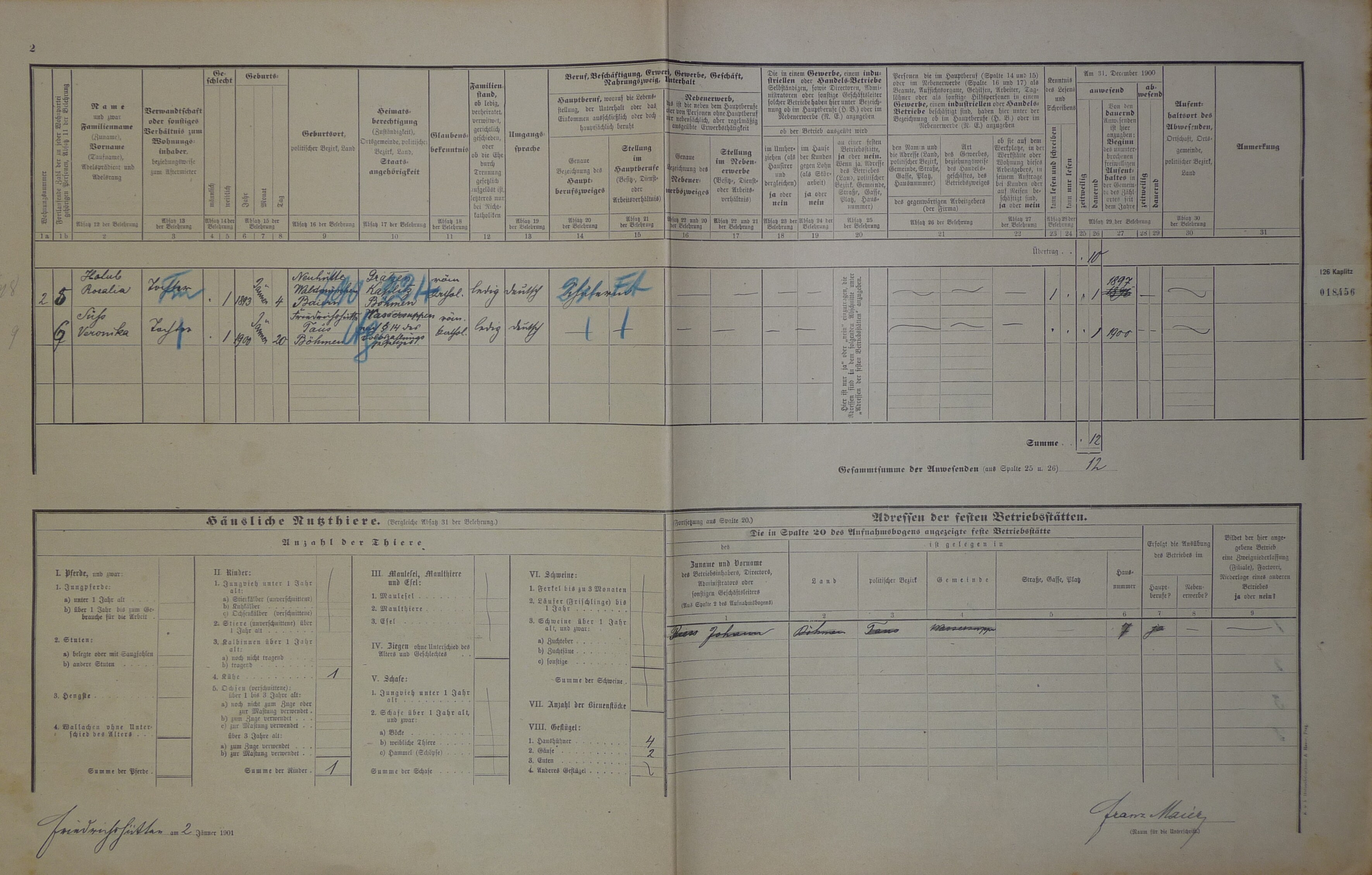 2. soap-do_00592_census-1900-nemanice-nova-hut-cp007_0020