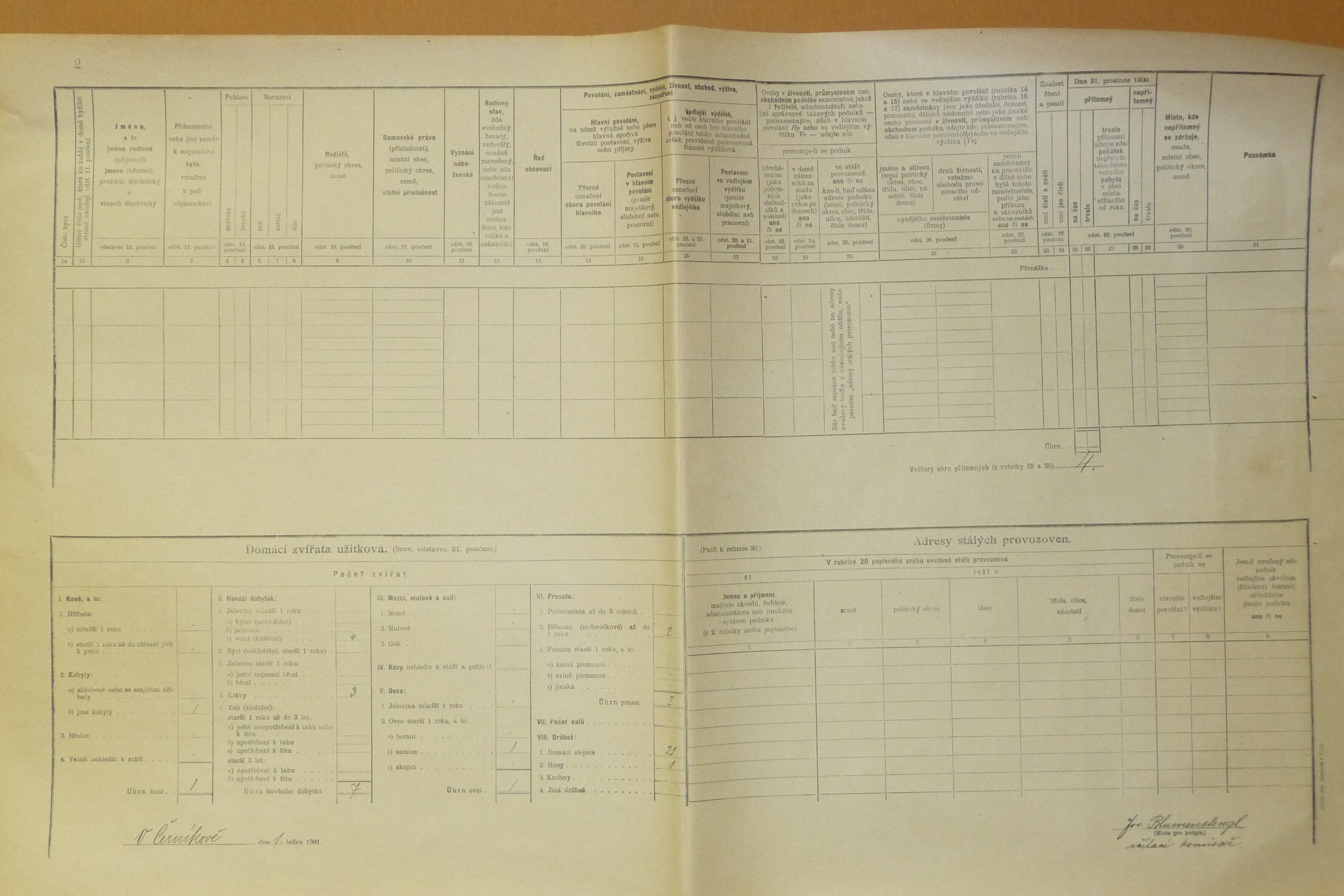 2. soap-do_00592_census-1900-cernikov-cp011_0020