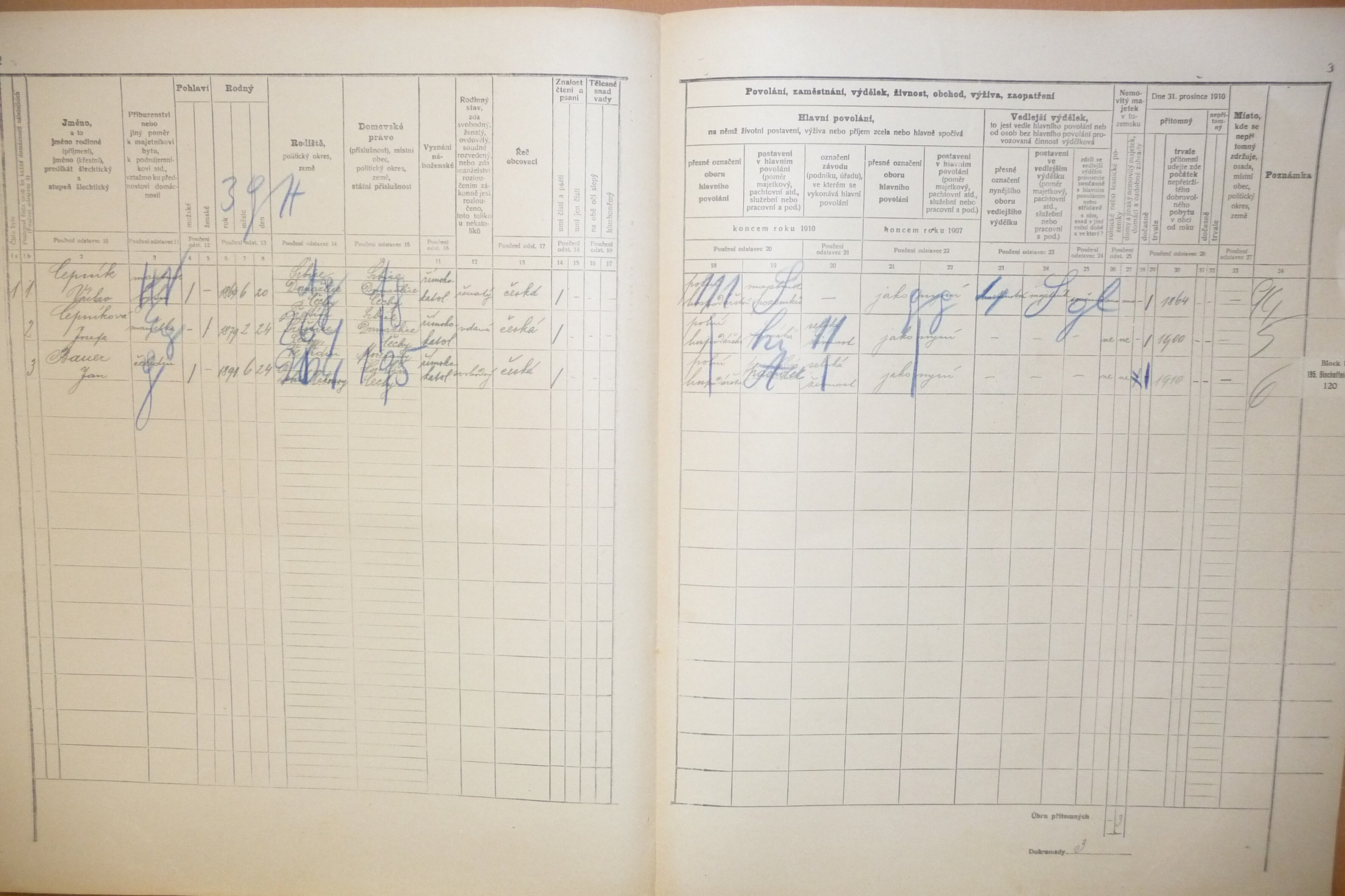 2. soap-do_00592_census-1910-srbice-cp015_0020