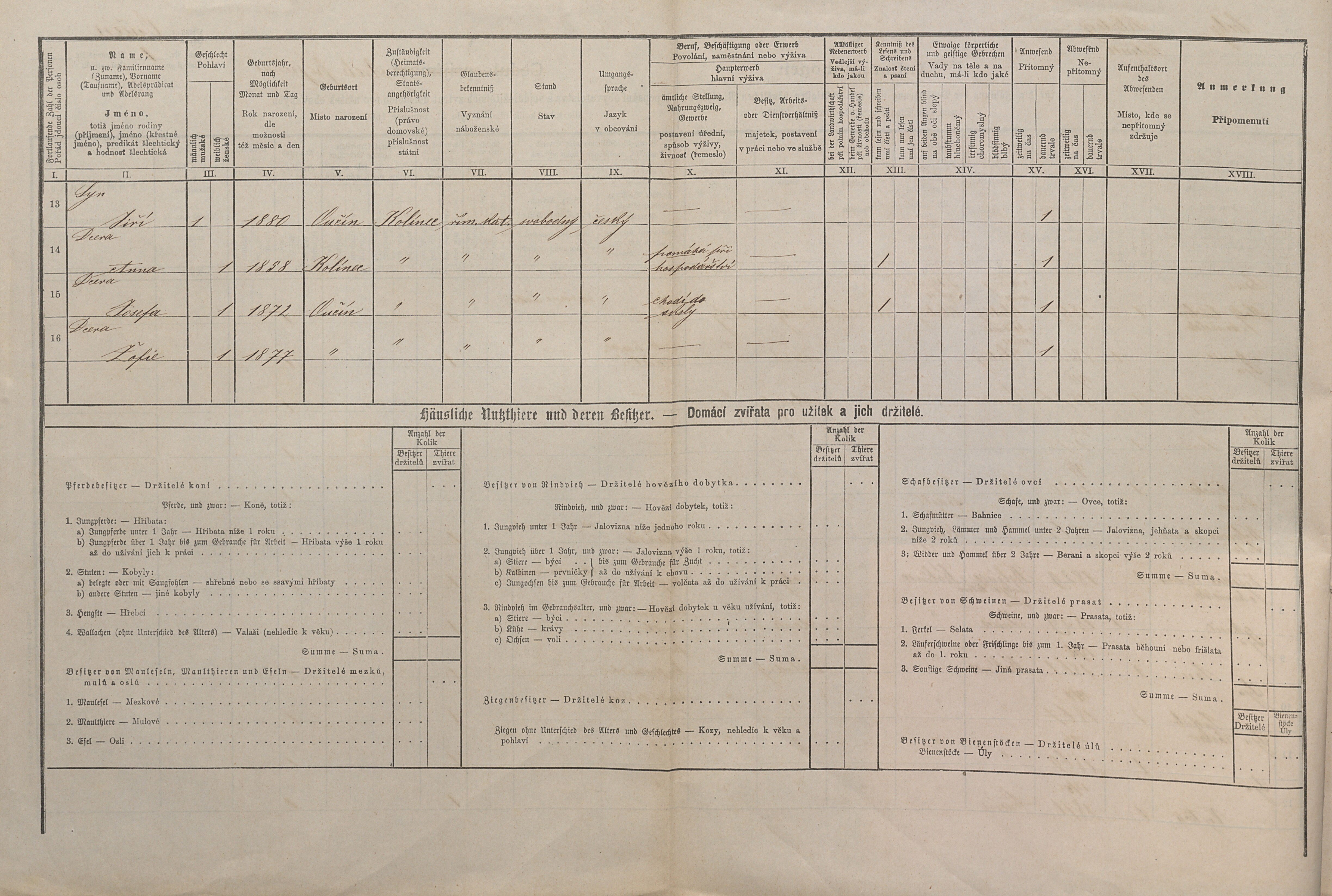 6. soap-kt_01159_census-1880-kolinec-ujcin-cp001_0060