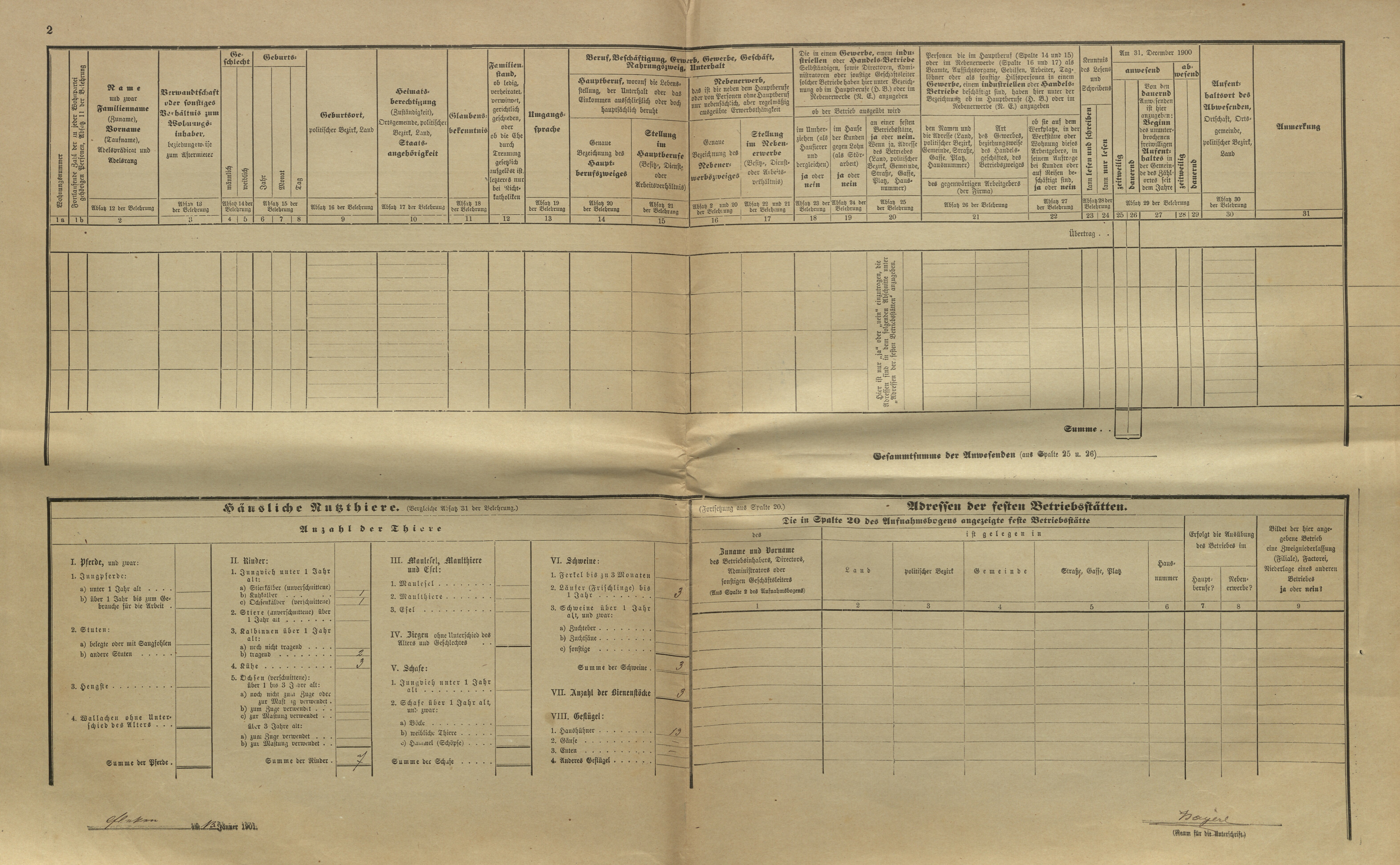 2. soap-kt_01159_census-1900-cervene-drevo-fleky-cp062_0020