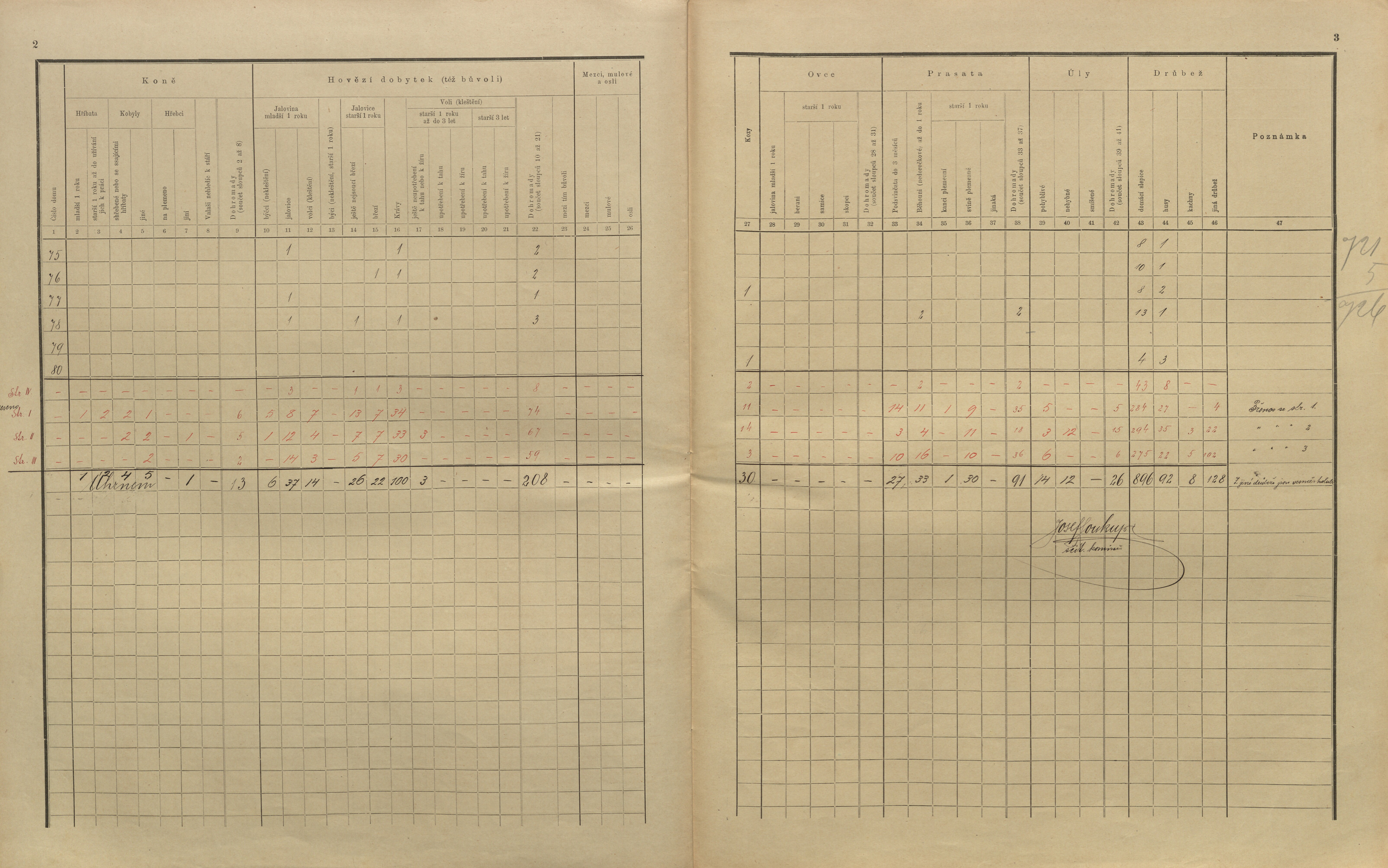 17. soap-kt_01159_census-sum-1900-ujezd-u-planice_0170