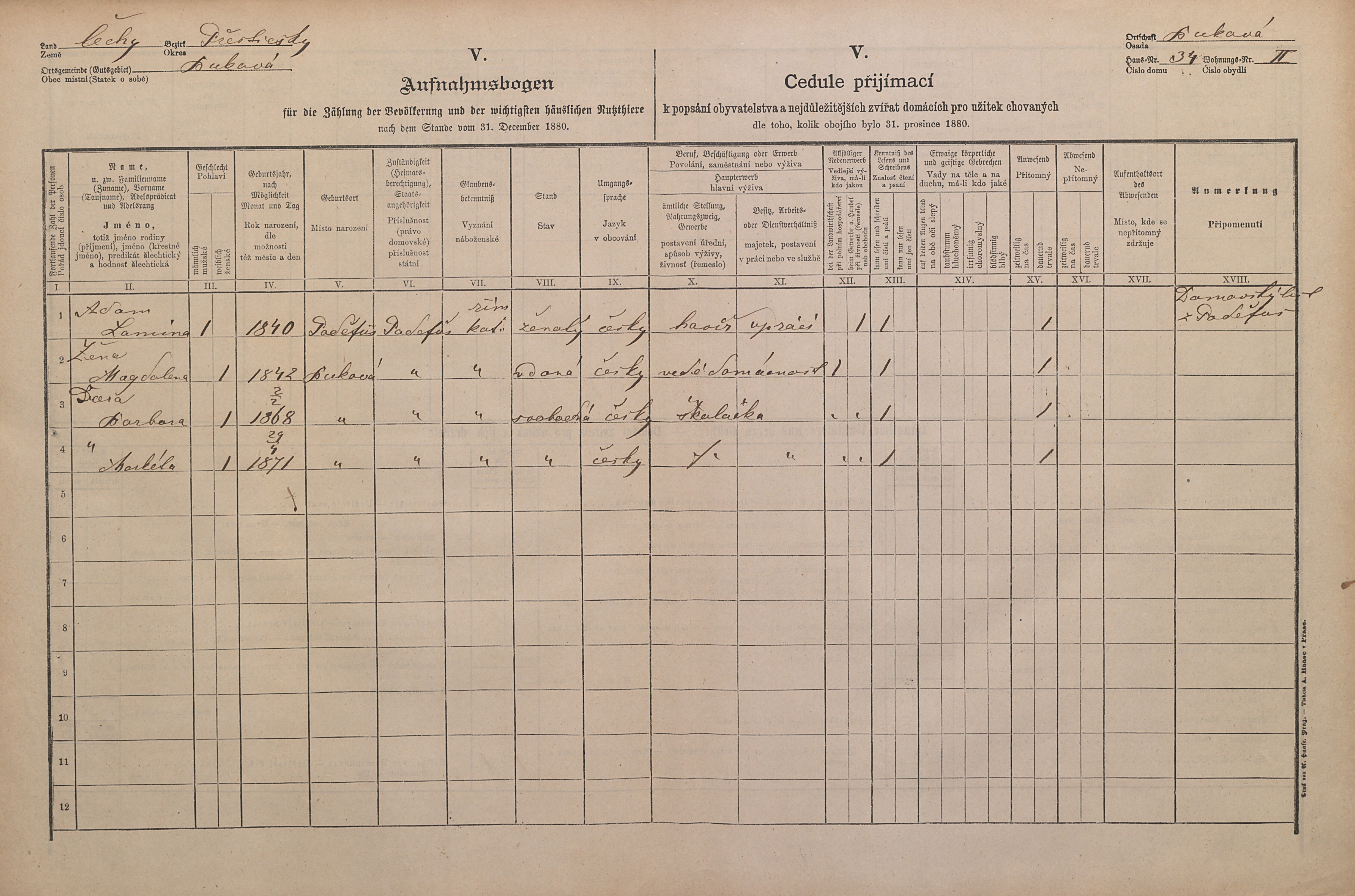 4. soap-pj_00302_census-1880-bukova-cp034_0040