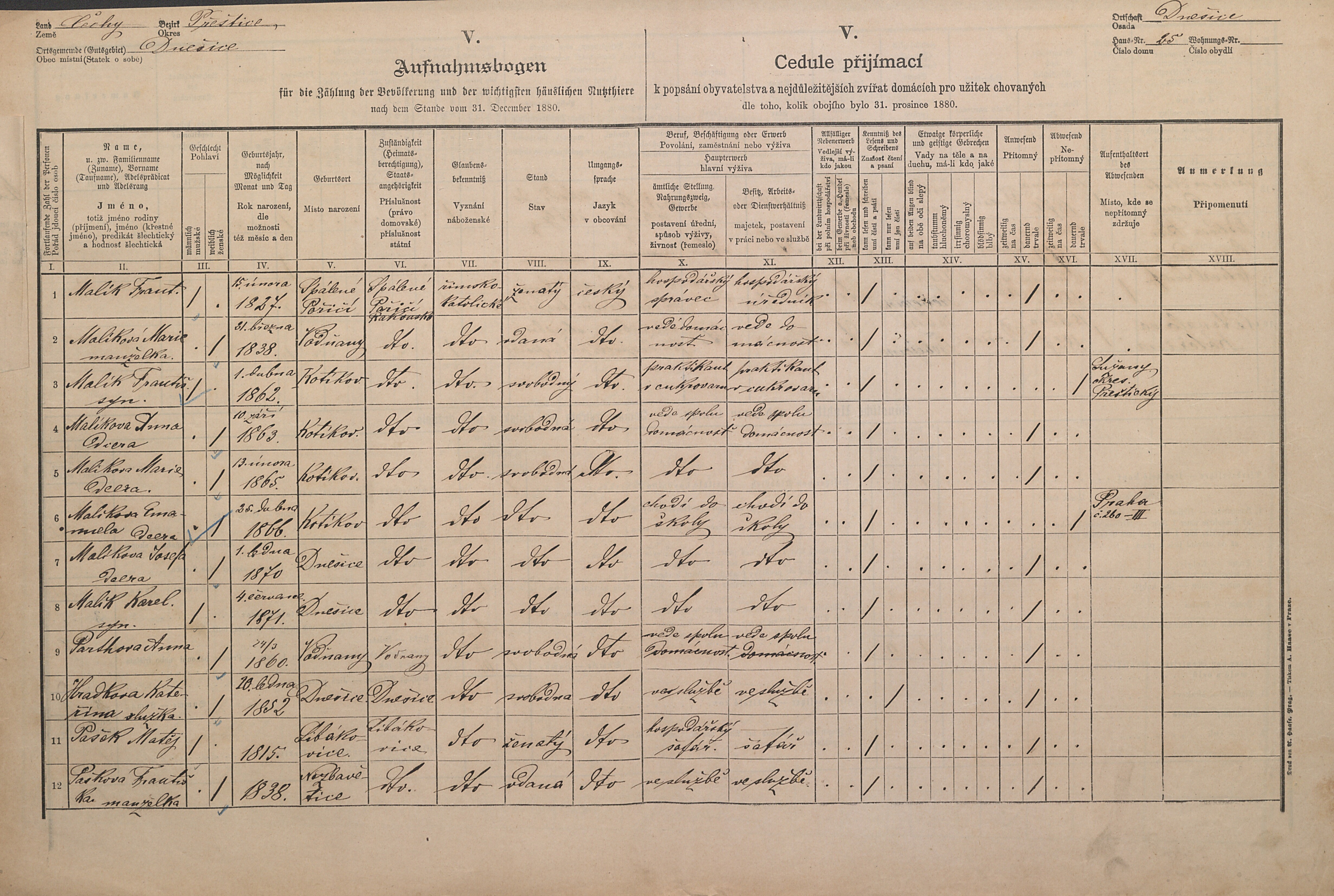 1. soap-pj_00302_census-1880-dnesice-cp025_0010