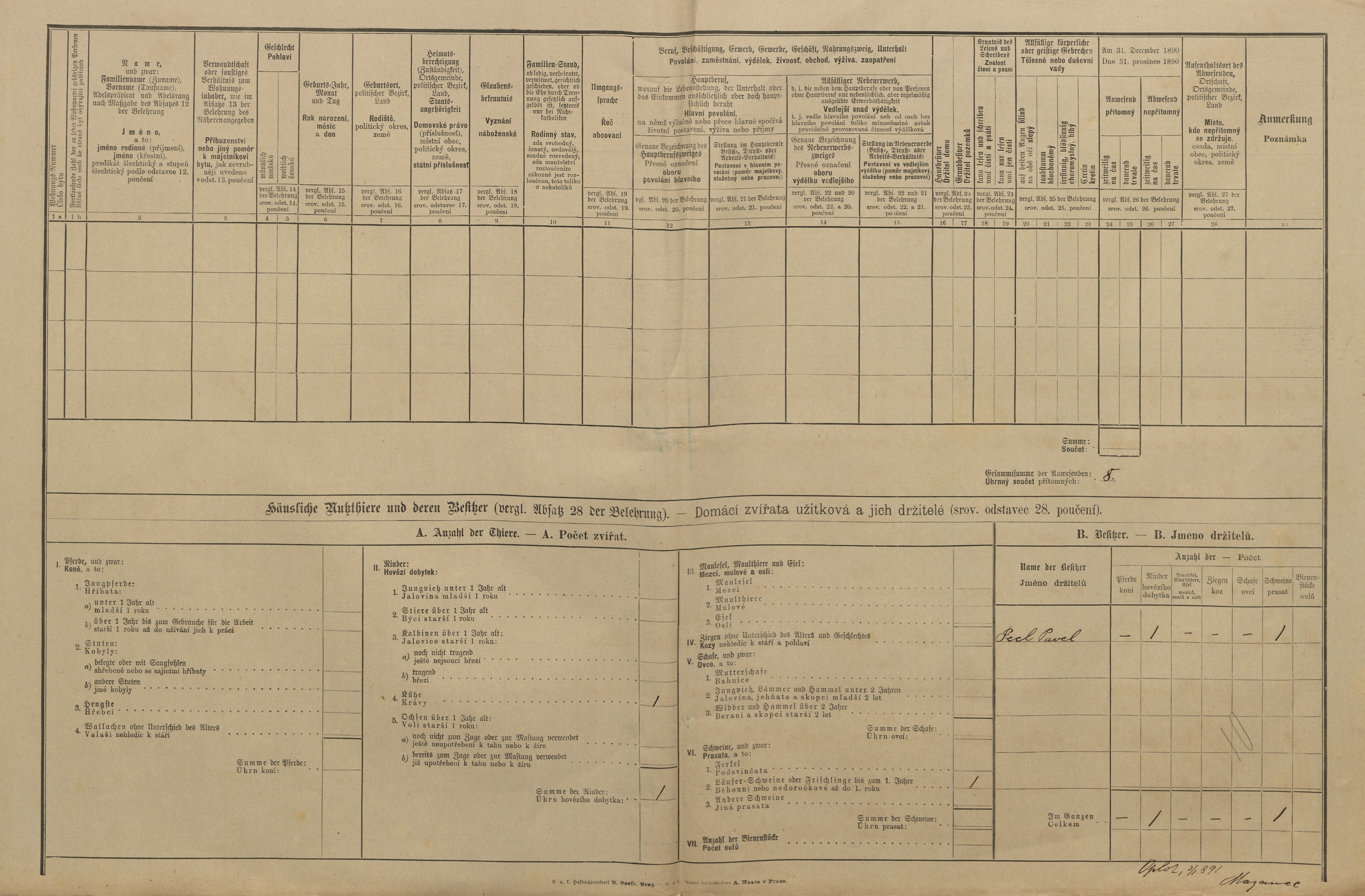 2. soap-pj_00302_census-1890-oplot-cp067_0020