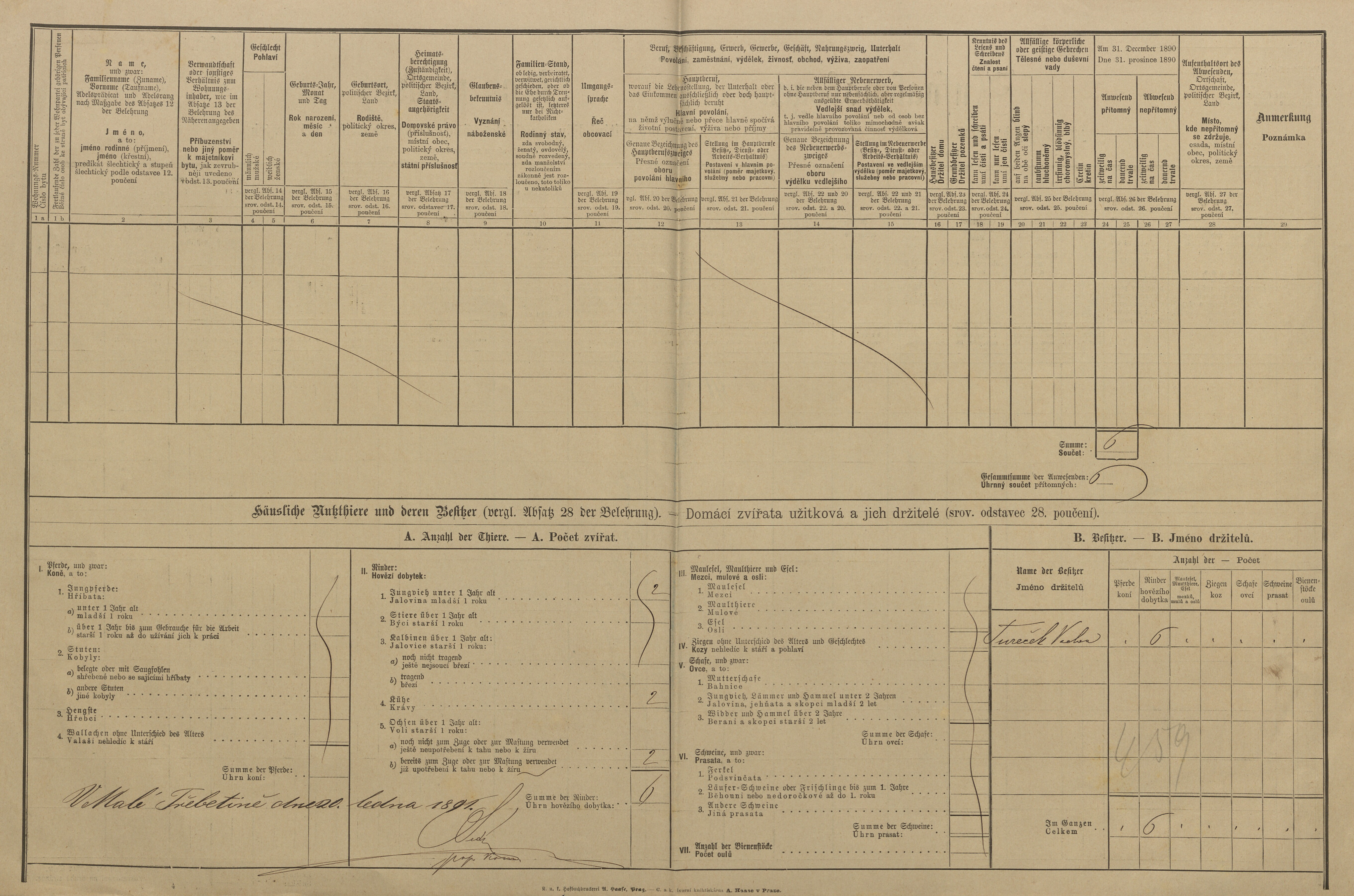 2. soap-pj_00302_census-1890-trebycinka-cp005_0020