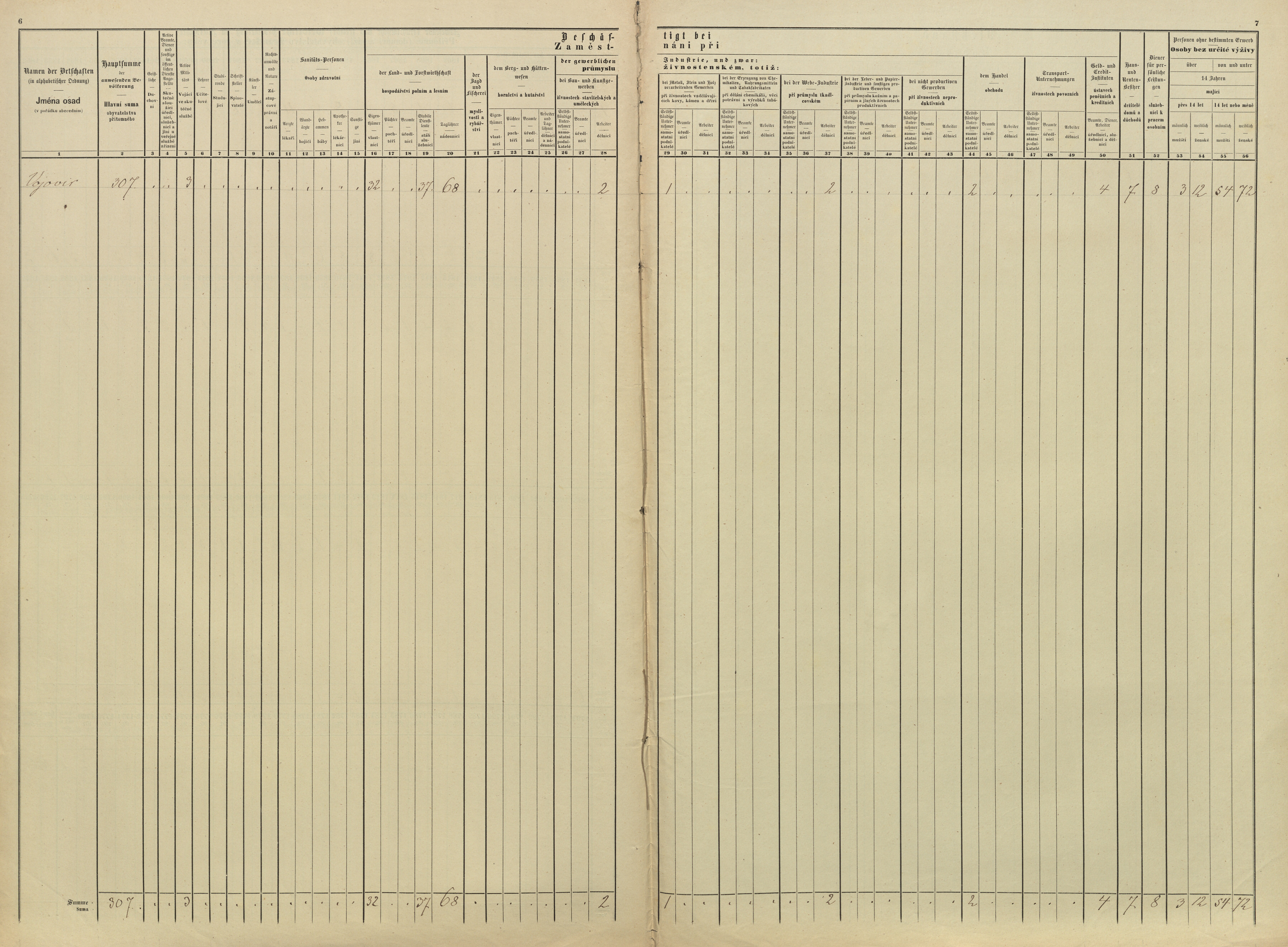 5. soap-pj_00302_census-sum-1869-vojovice_0050