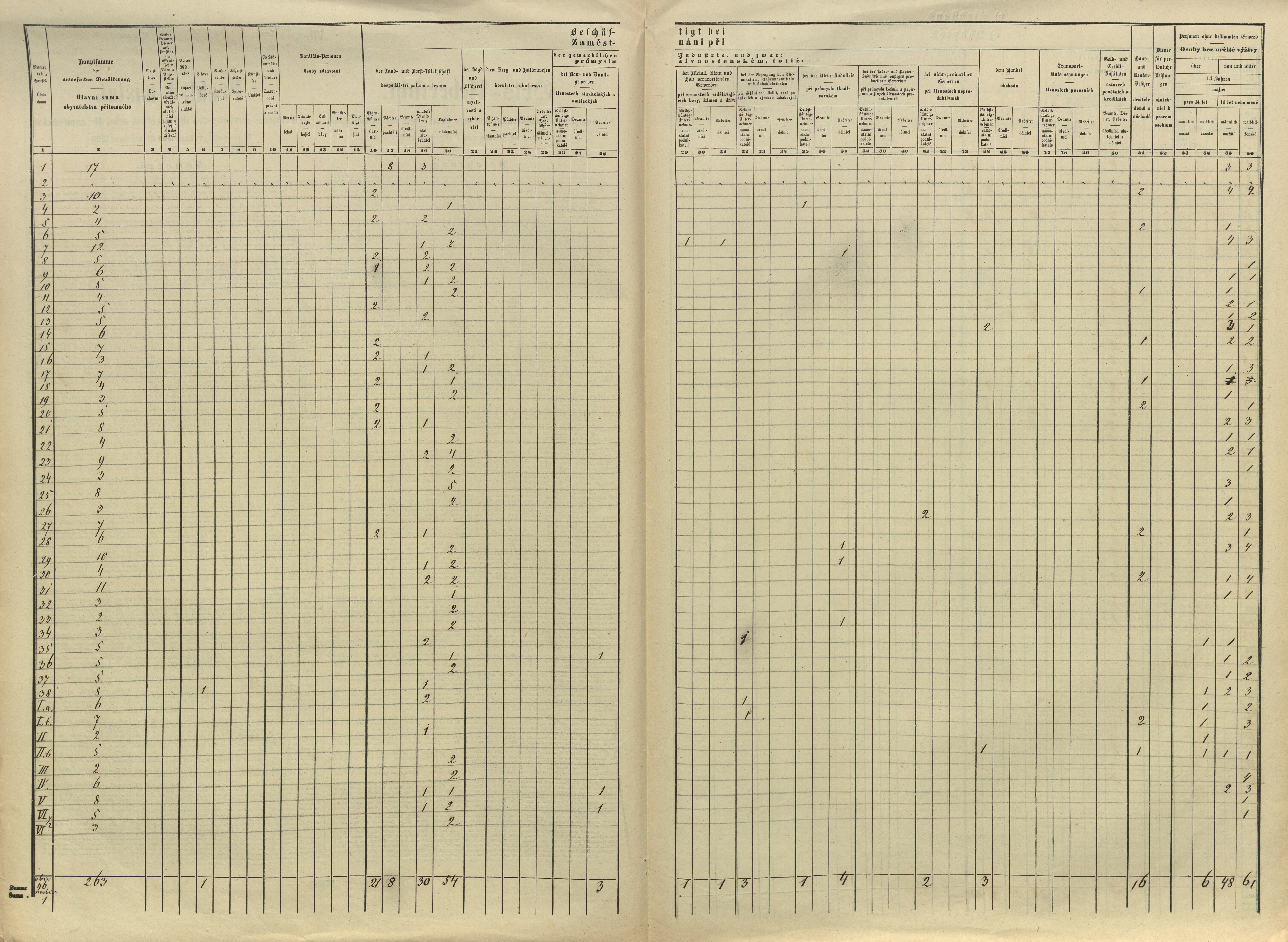 16. soap-pj_00302_census-sum-1869-malinec_0160