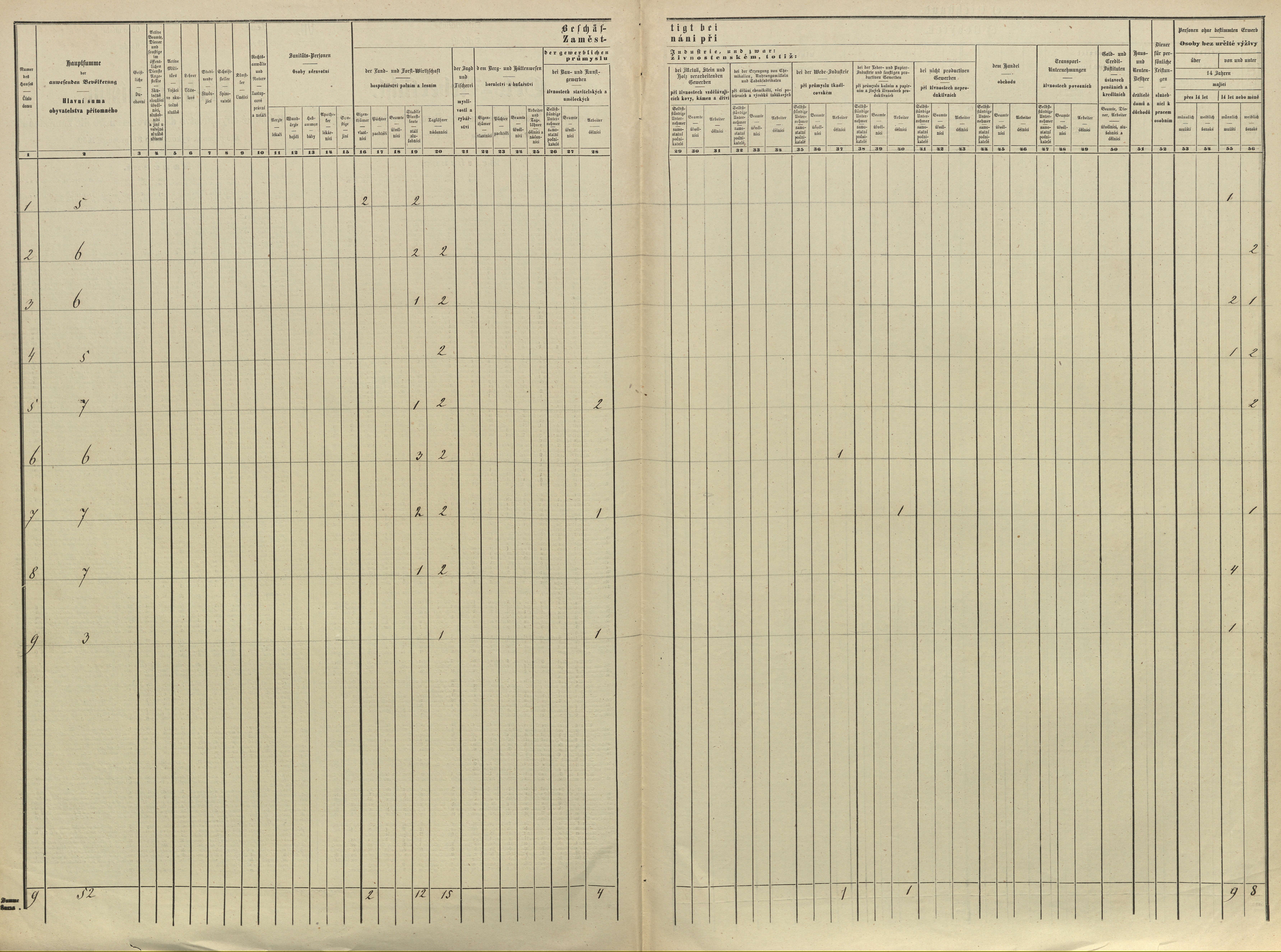 24. soap-pj_00302_census-sum-1869-pretin_0240