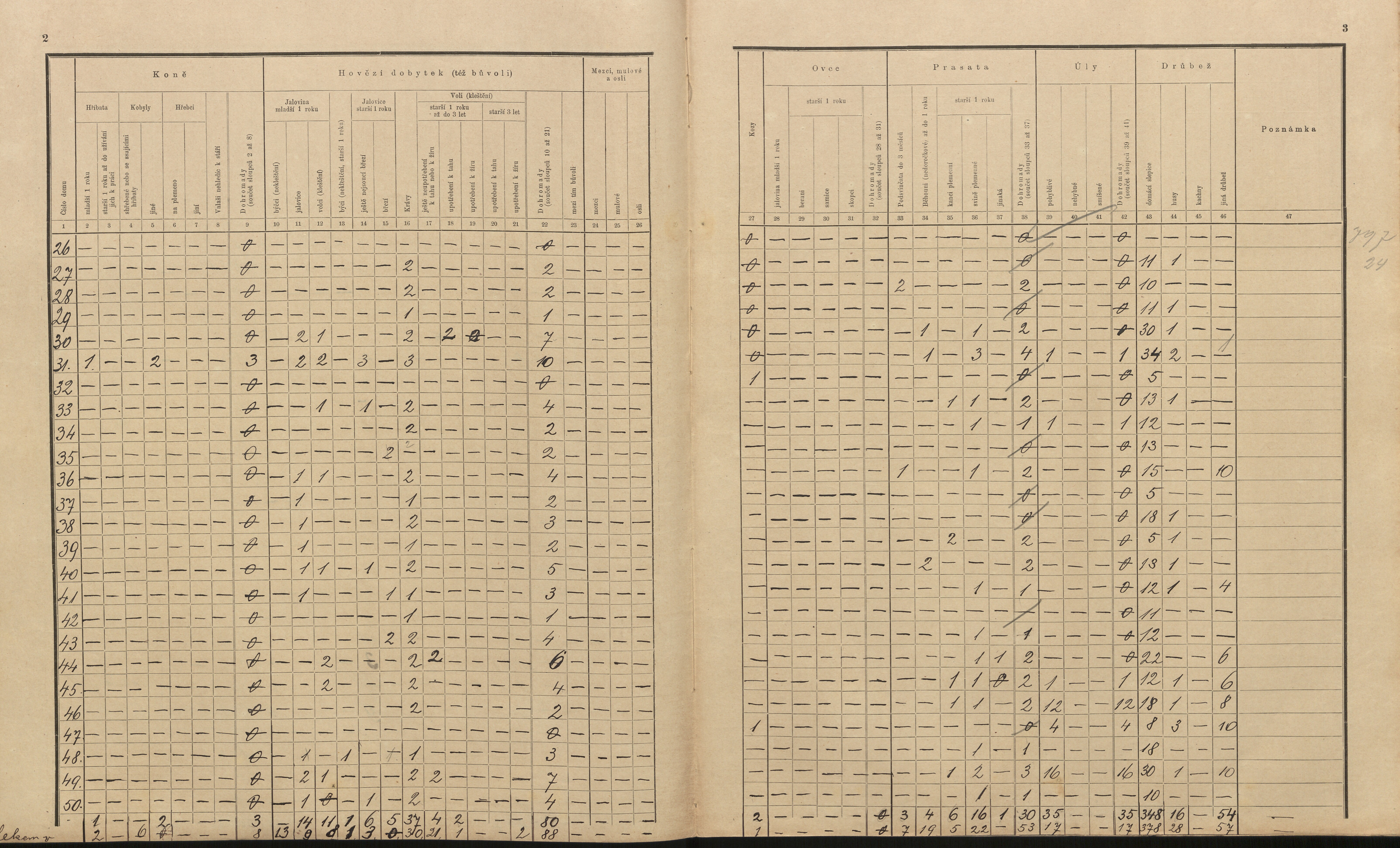 10. soap-pj_00302_census-sum-1910-kuciny_0100