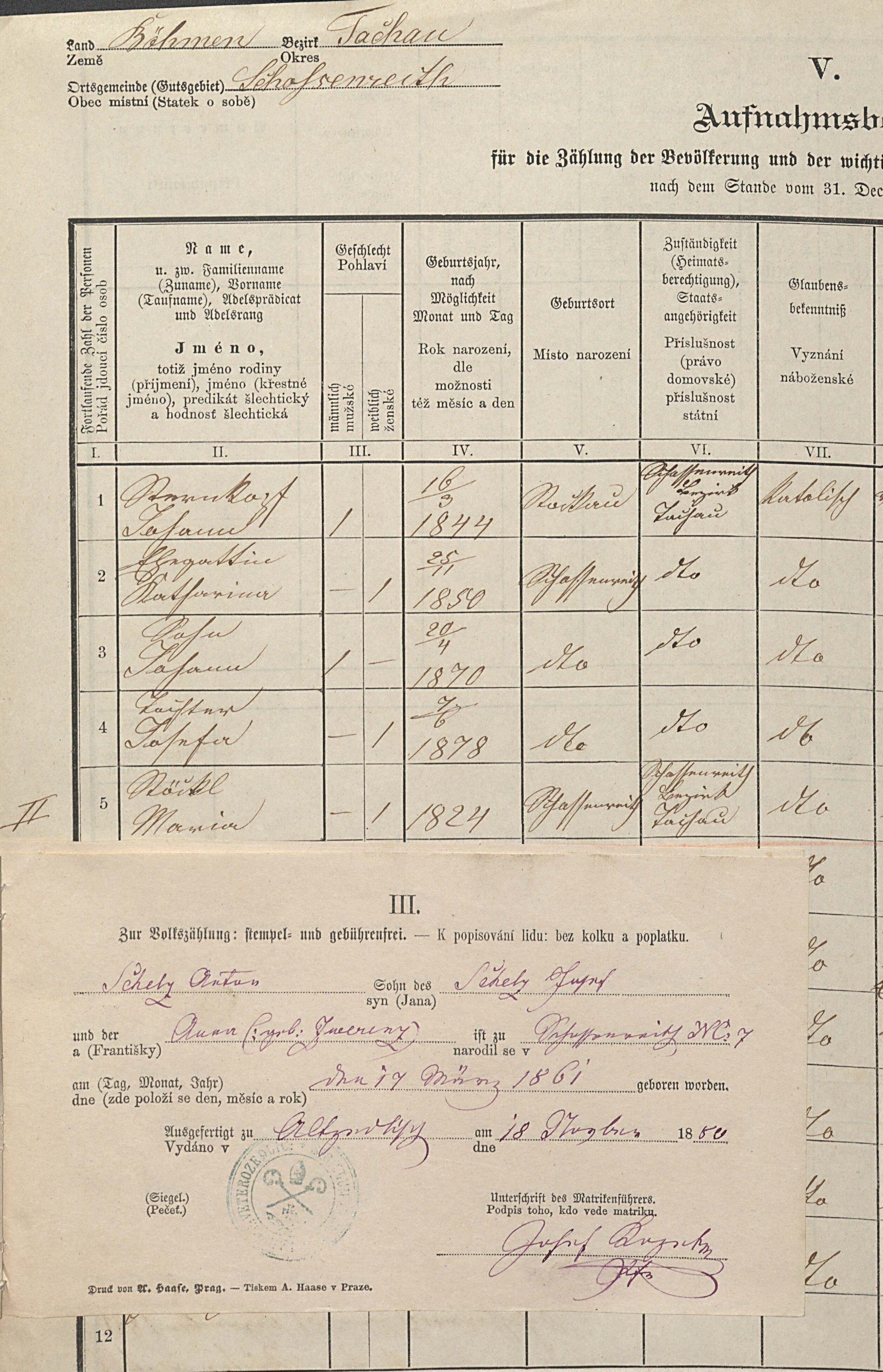 3. soap-tc_00192_census-1880-castkov-cp007_0030