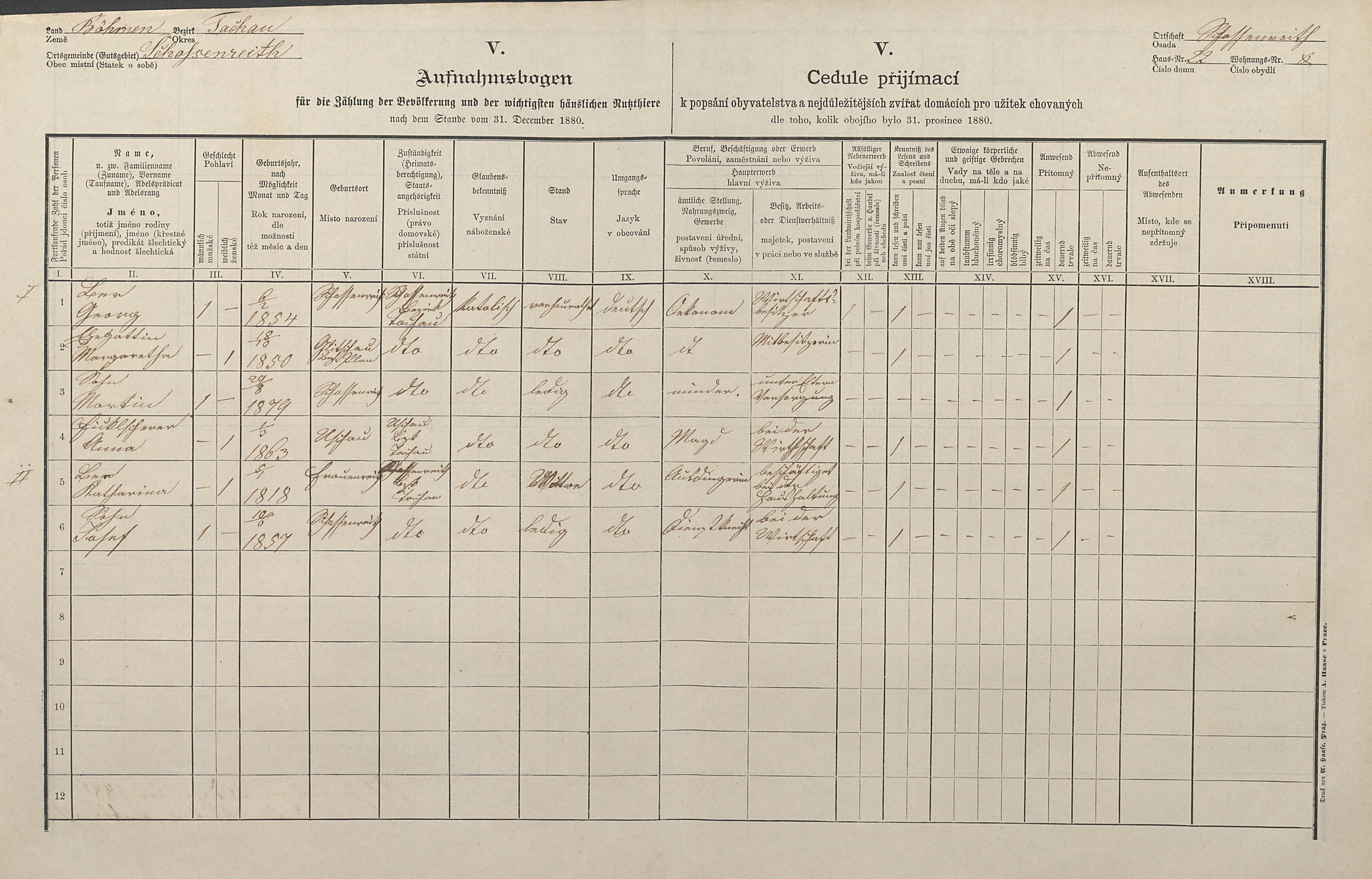 1. soap-tc_00192_census-1880-castkov-cp022_0010