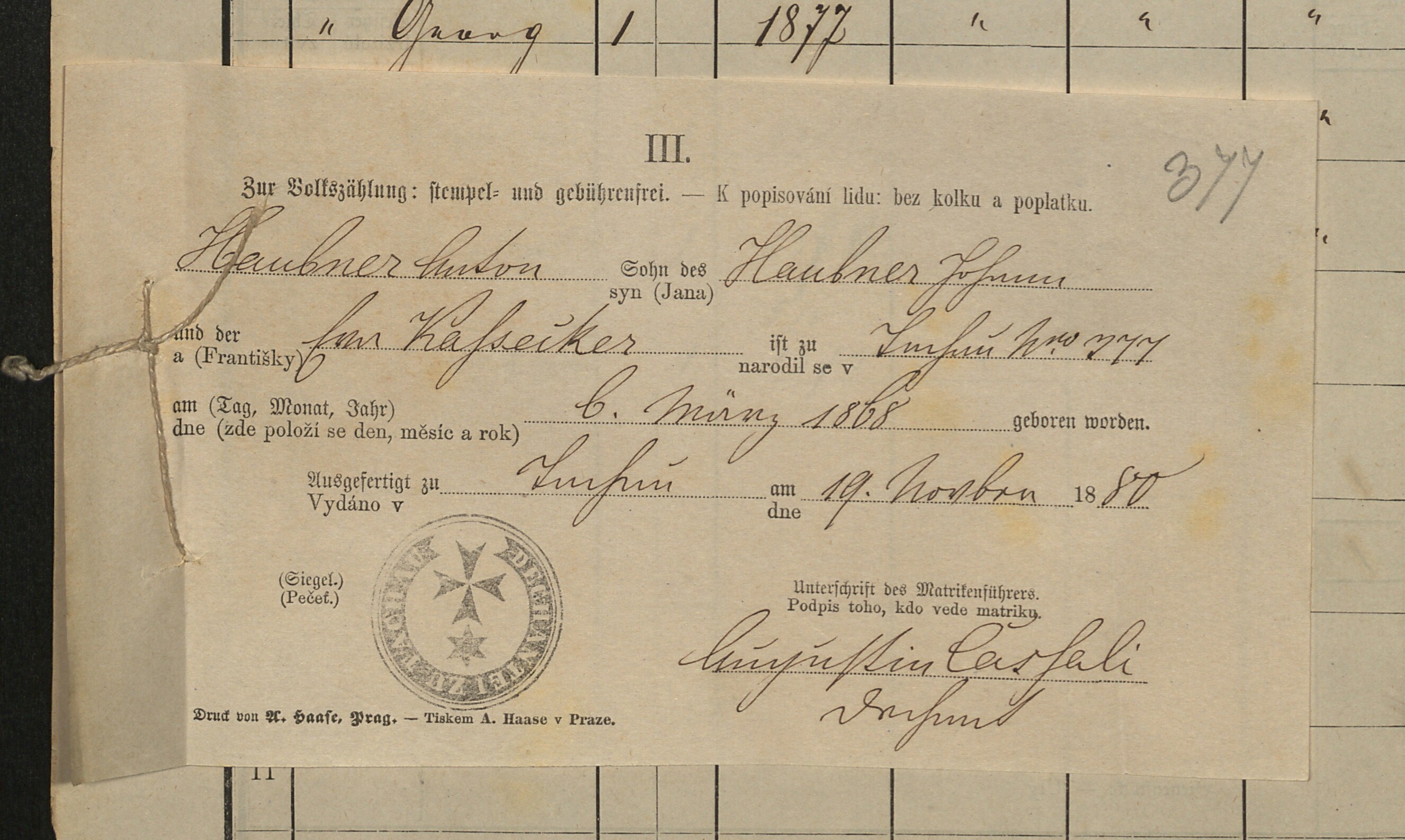 10. soap-tc_00192_census-1880-tachov-cp377_0100