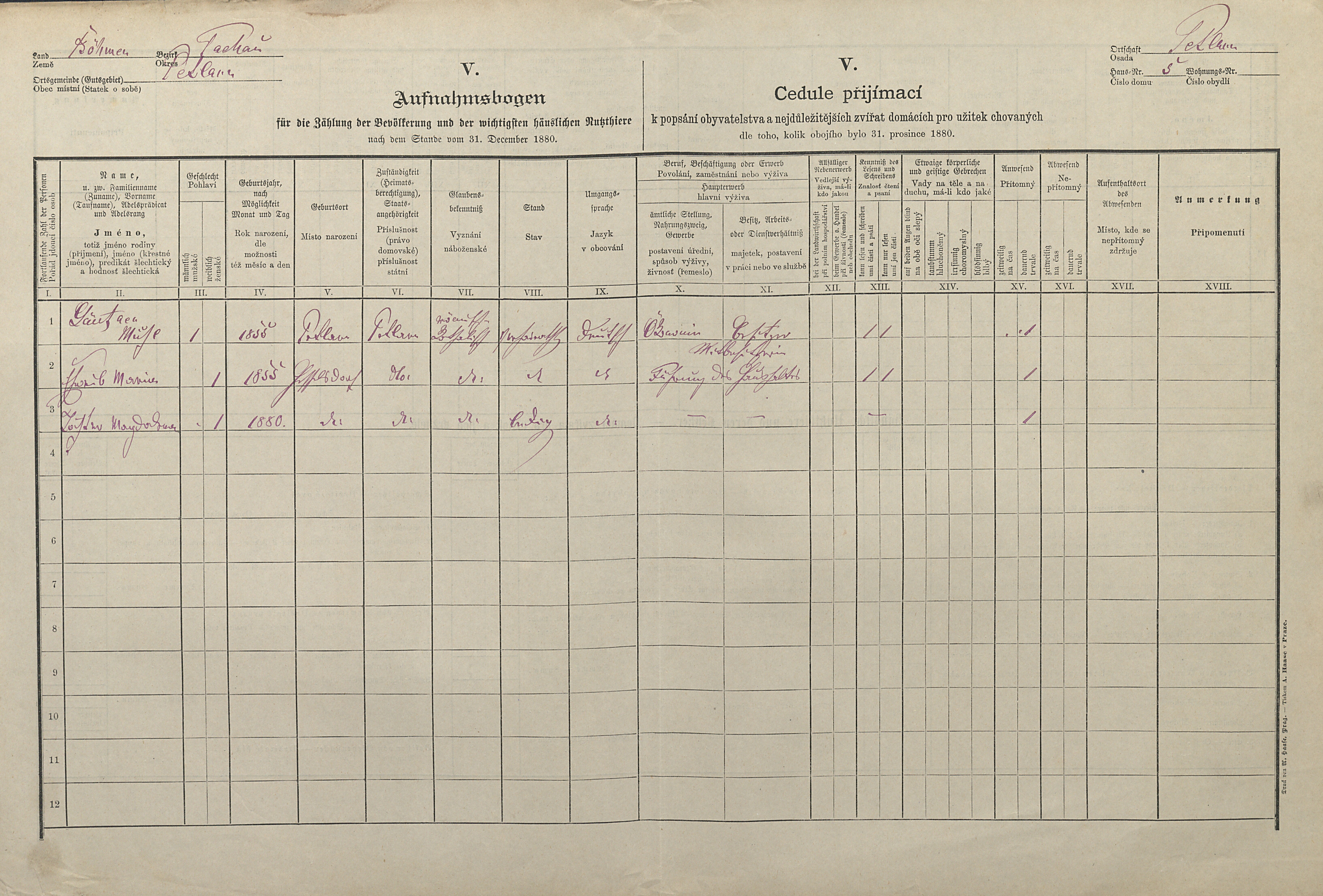 1. soap-tc_00192_census-1880-zebraky-cp005_0010