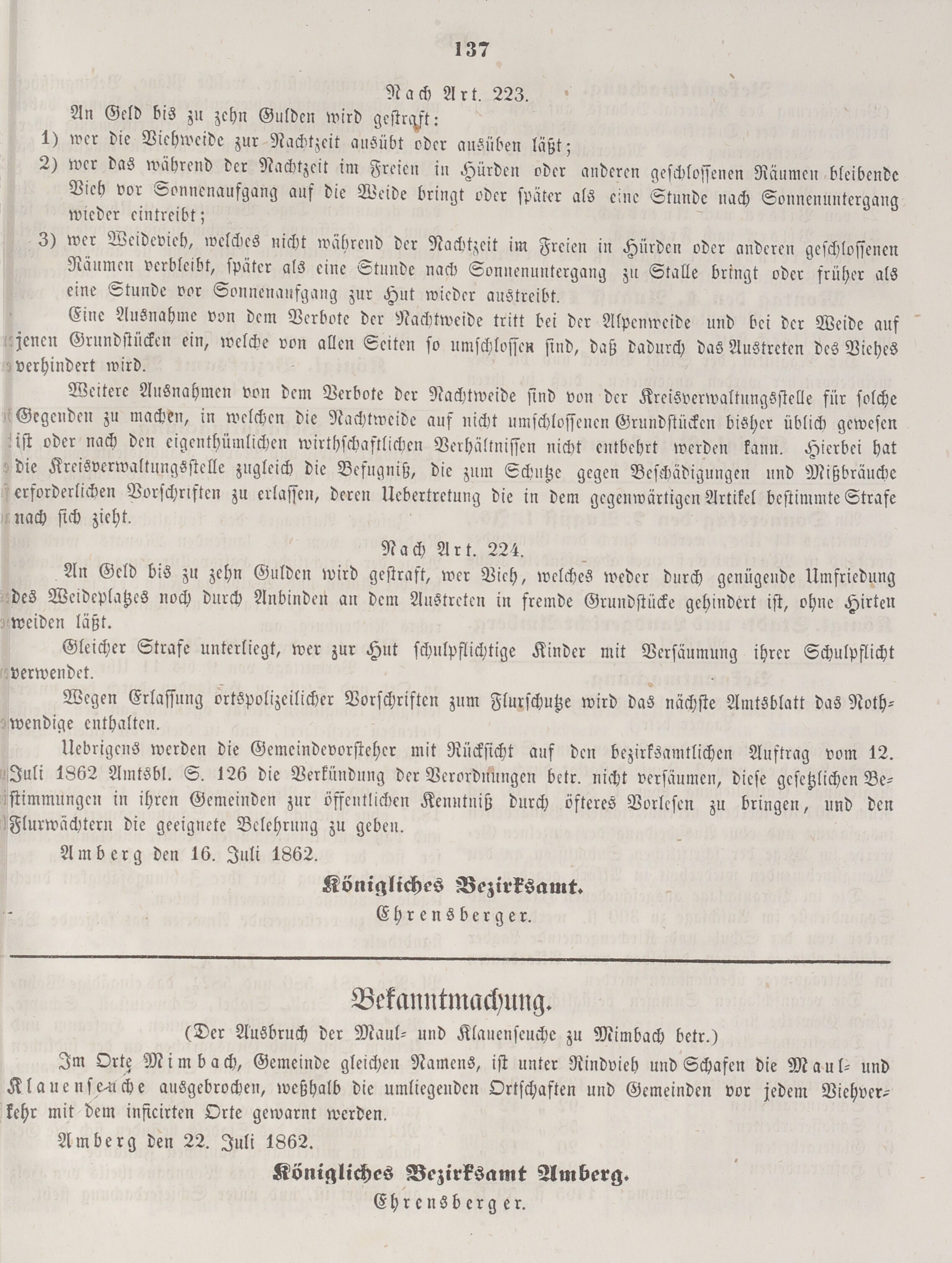 5. amberger-wochenblatt-1862-07-28-n30_1350