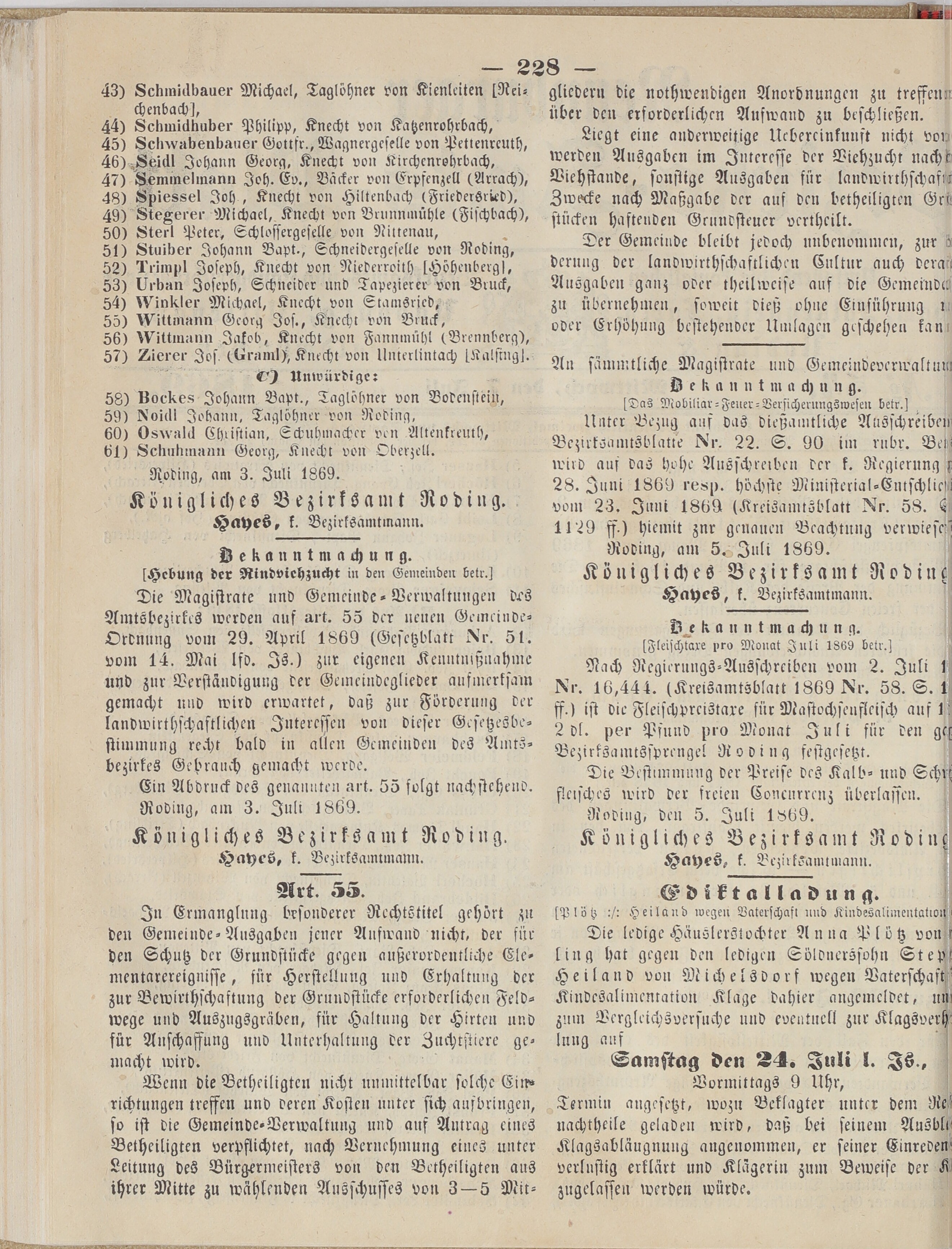 2. neunburger-bezirksamtsblatt-1869-07-07-n54_2310