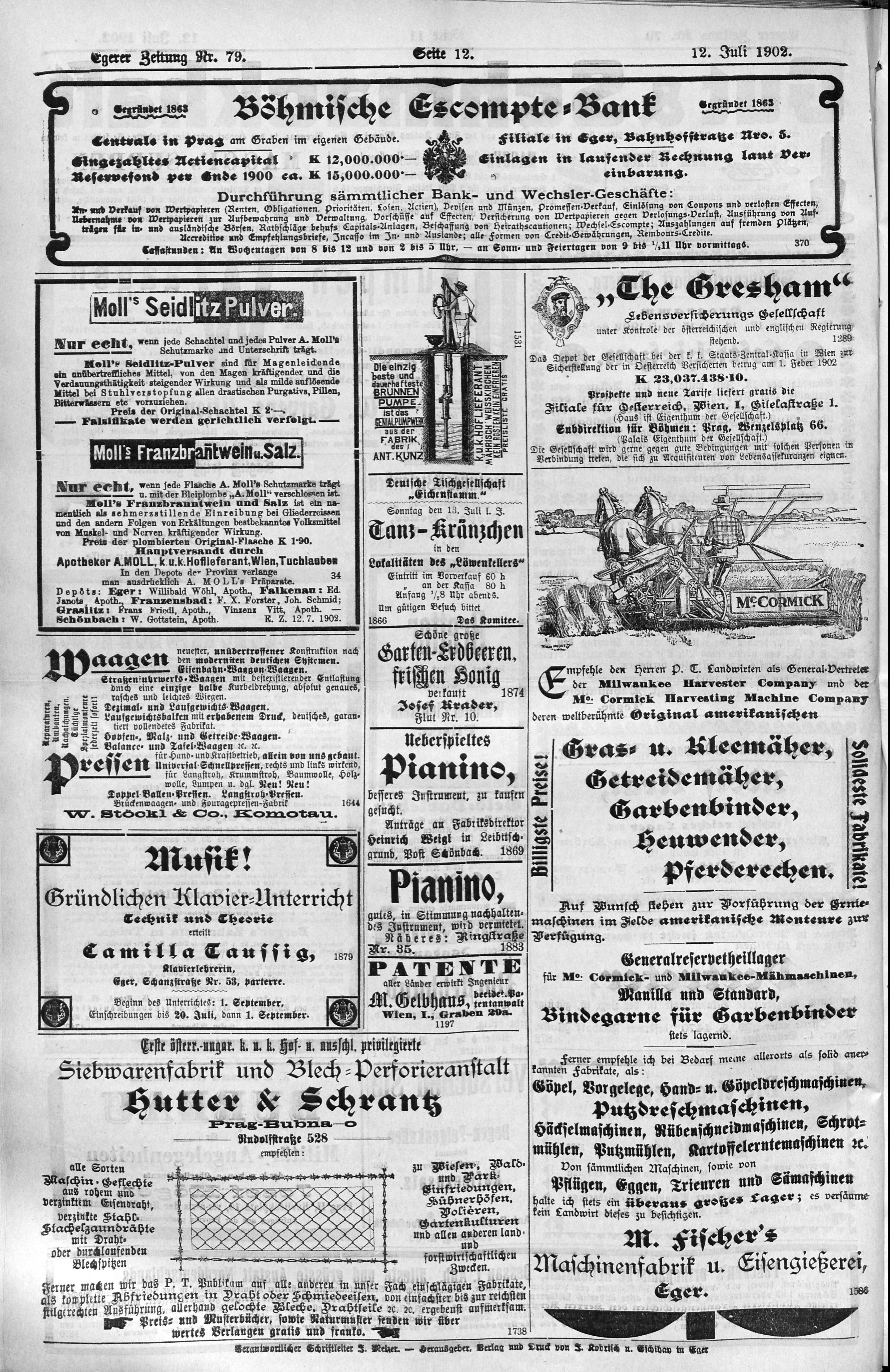 12. egerer-zeitung-1902-07-12-n79_3360