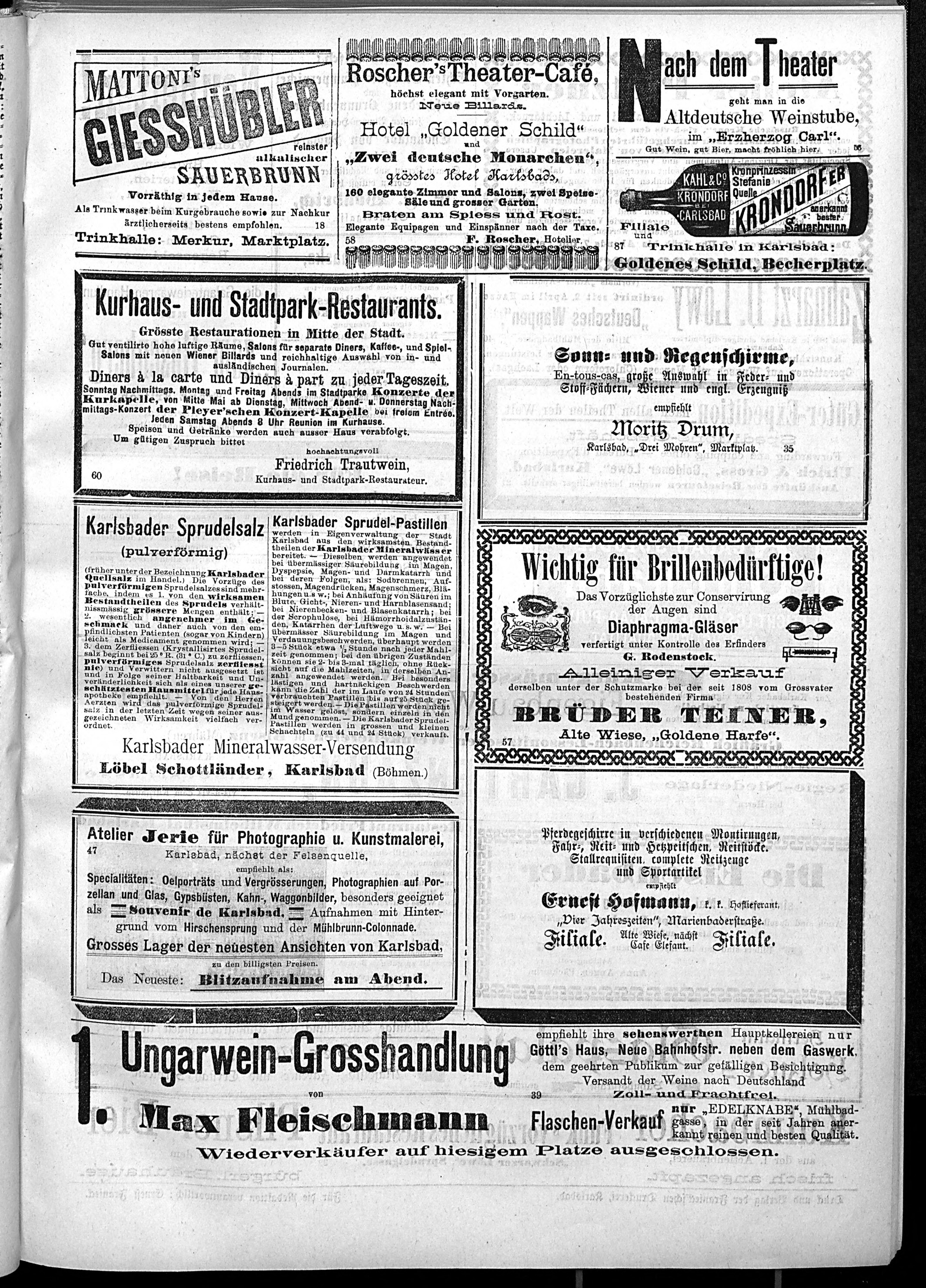 3. karlsbader-badeblatt-1889-05-06-n6_0215