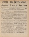 1. amtsblatt-kemnath-erbendorf-1874_0210