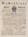 1. wochenblatt-amberg-1854-07-23-n59_3240